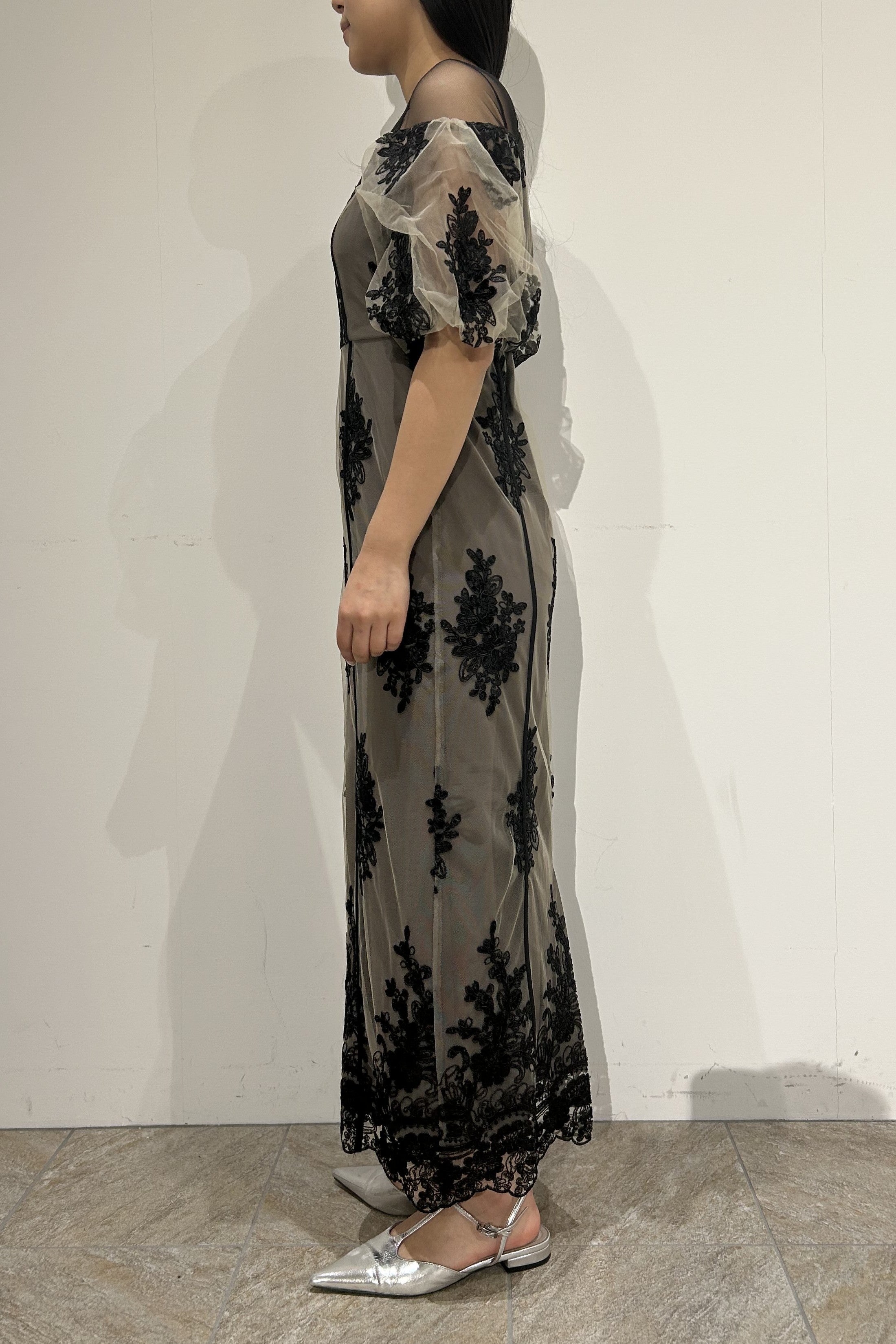 1044 Embroidered sheer dress