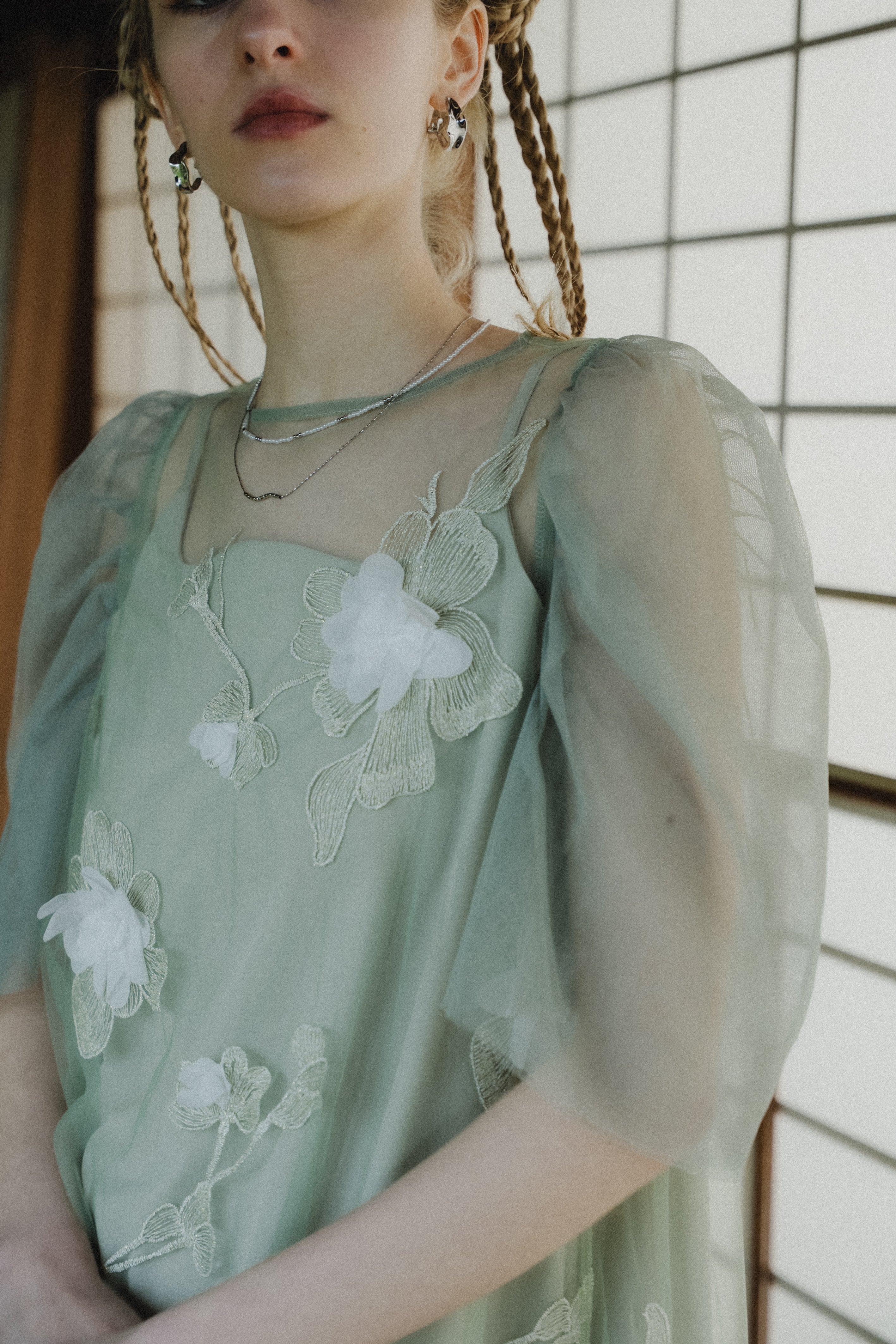 1132 3D Floral A-line Dress