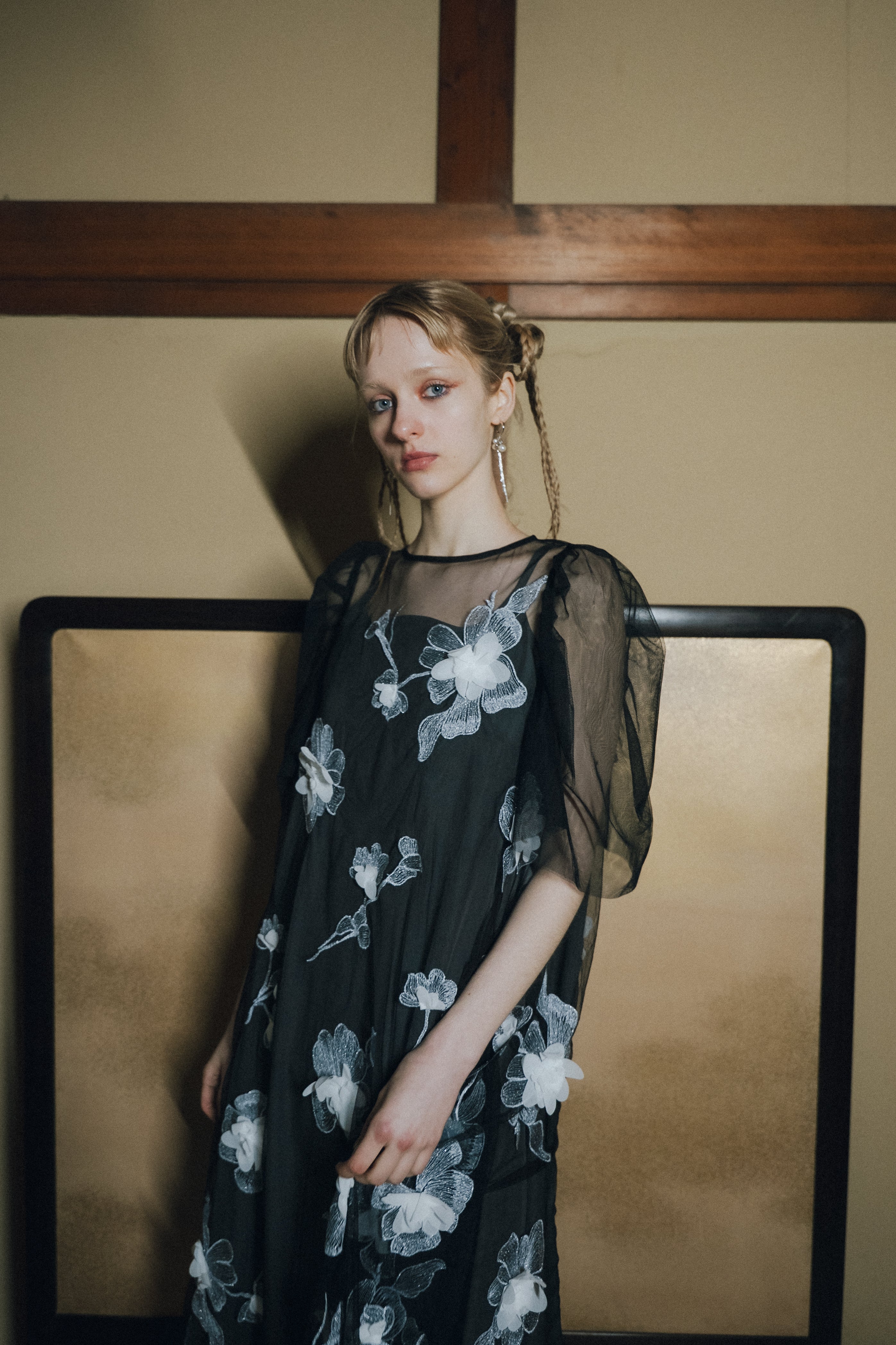 1132 3D Floral A-line Dress
