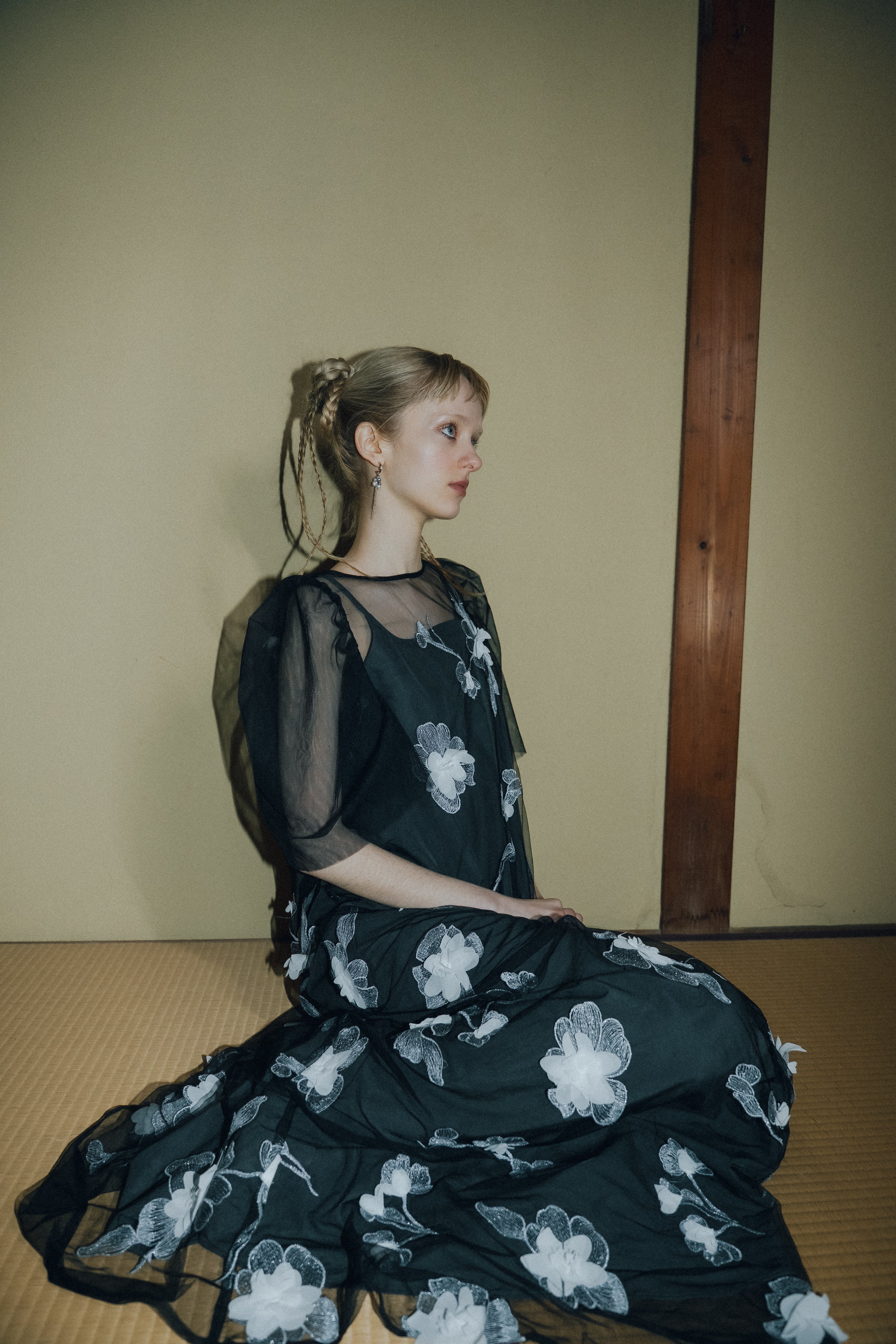 1132 3D Floral A-line Dress