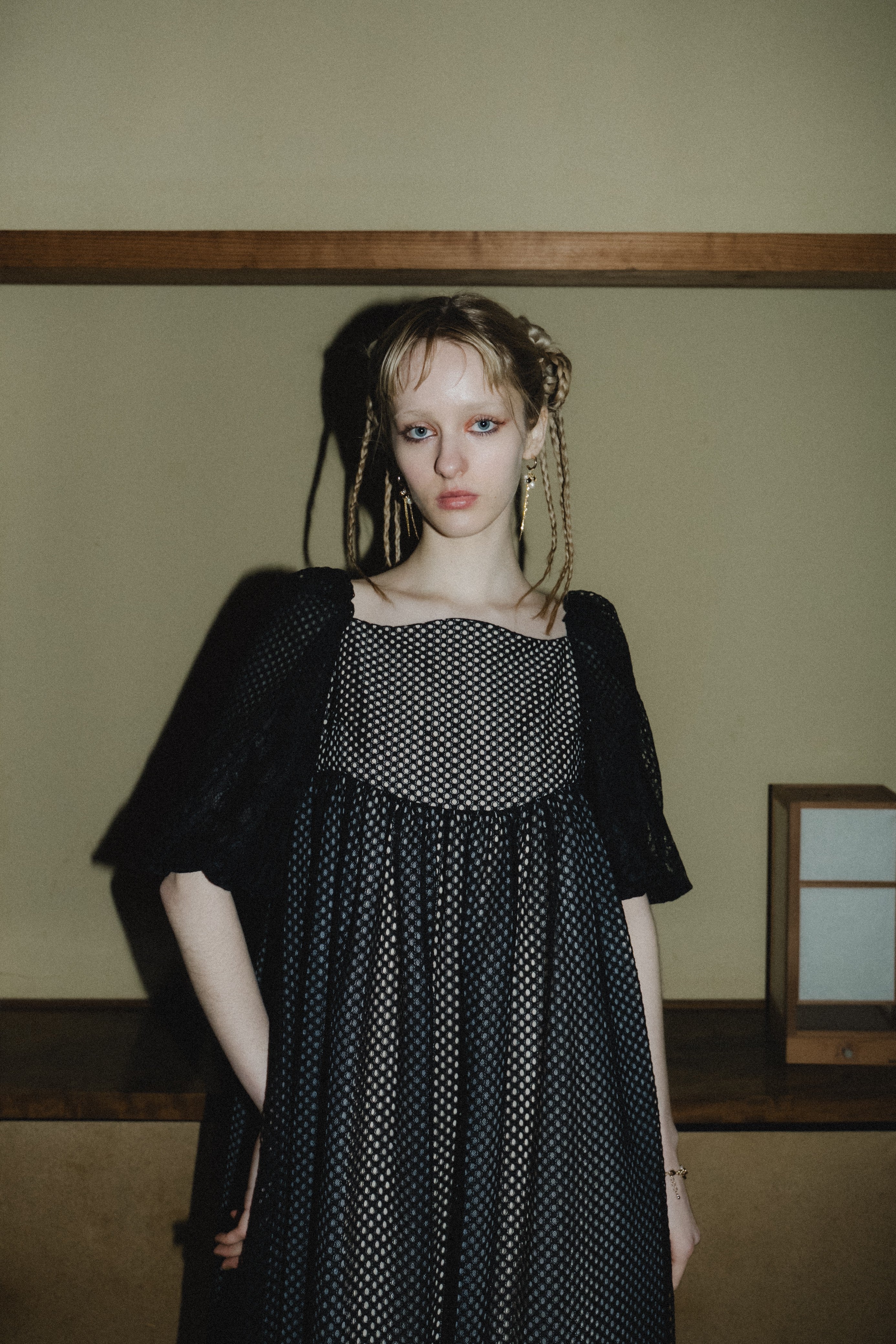 1114 Sheer Gingham Lace Dress