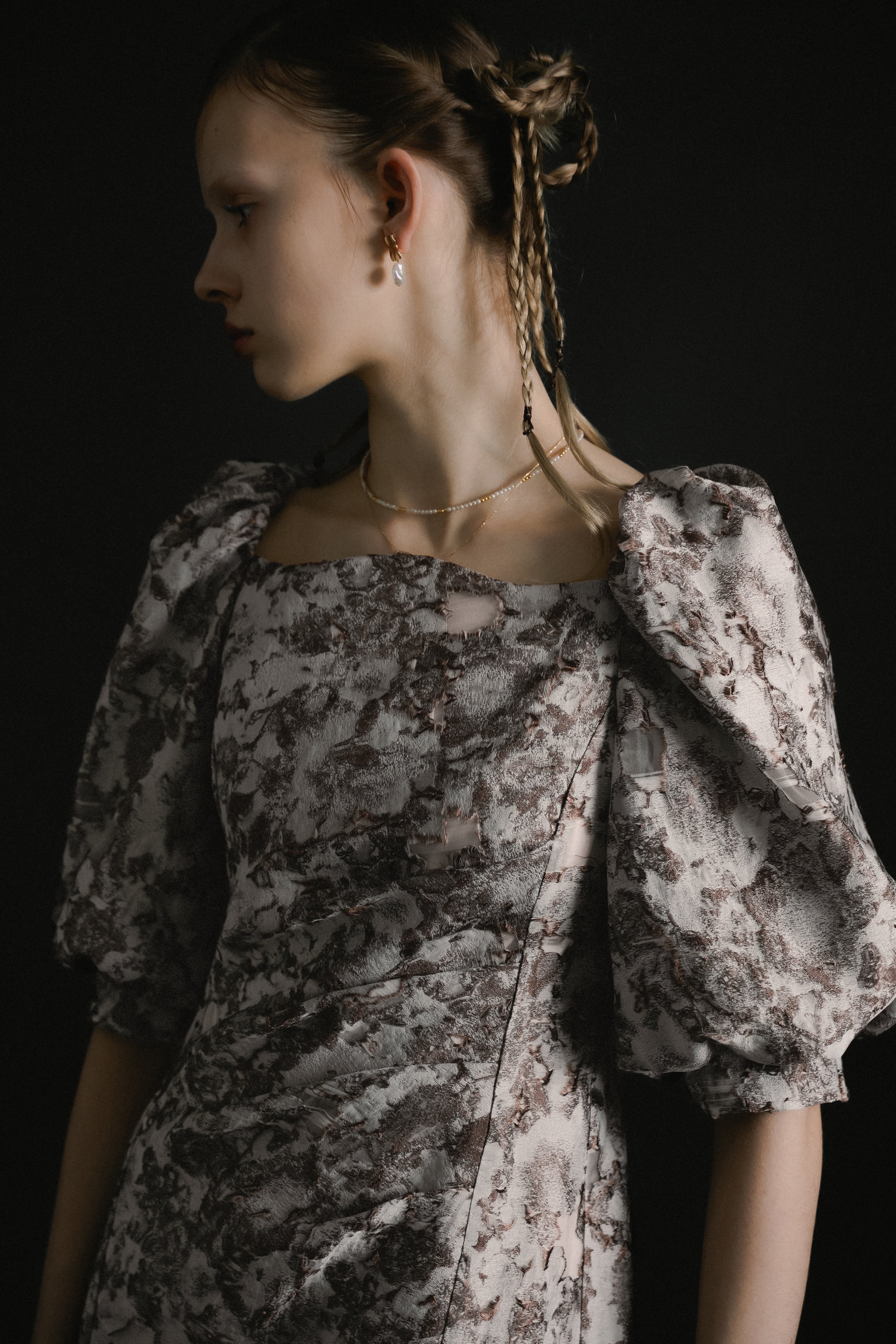 1071 Sheer Jacquard Organza Dress