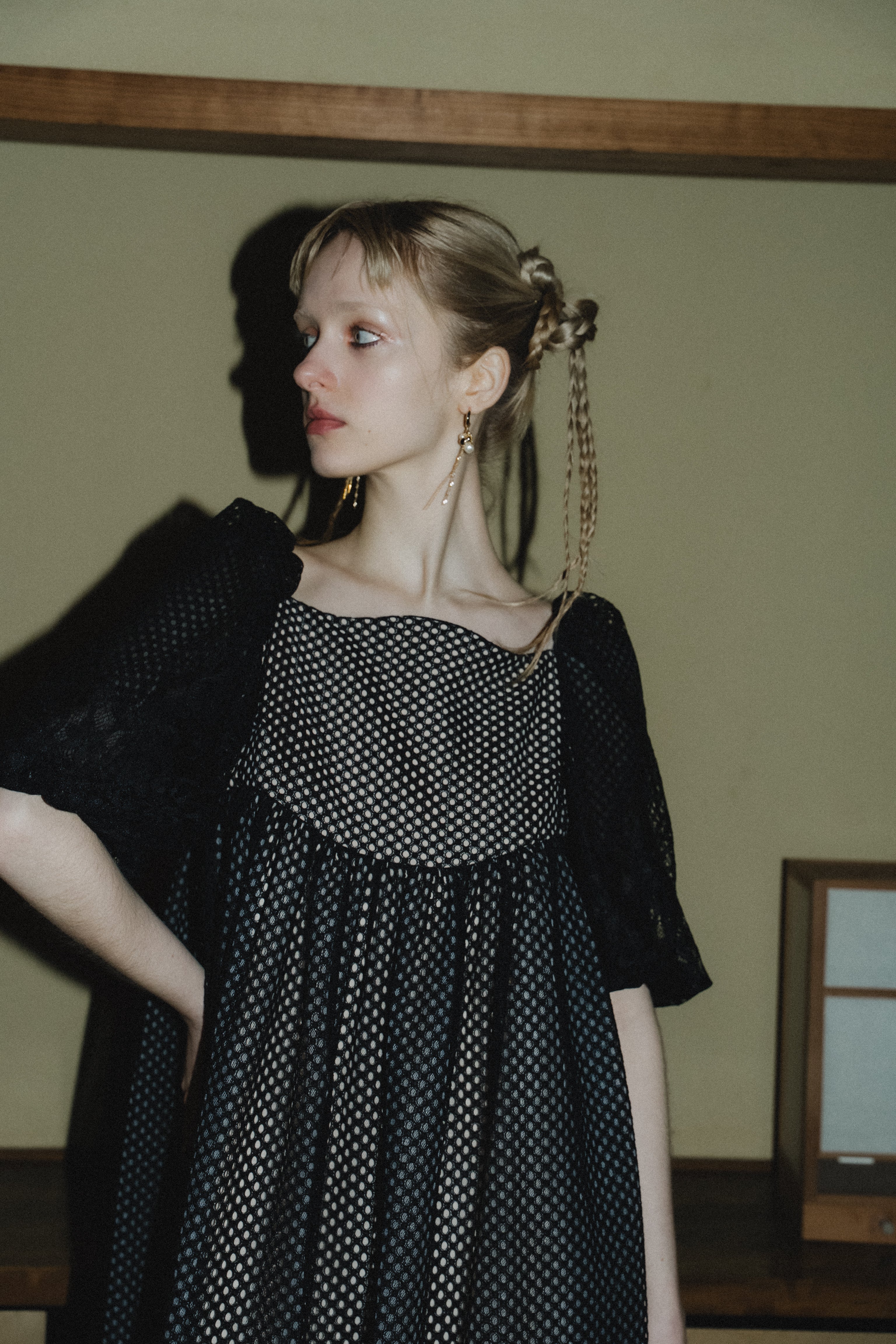 1114 Sheer Gingham Lace Dress