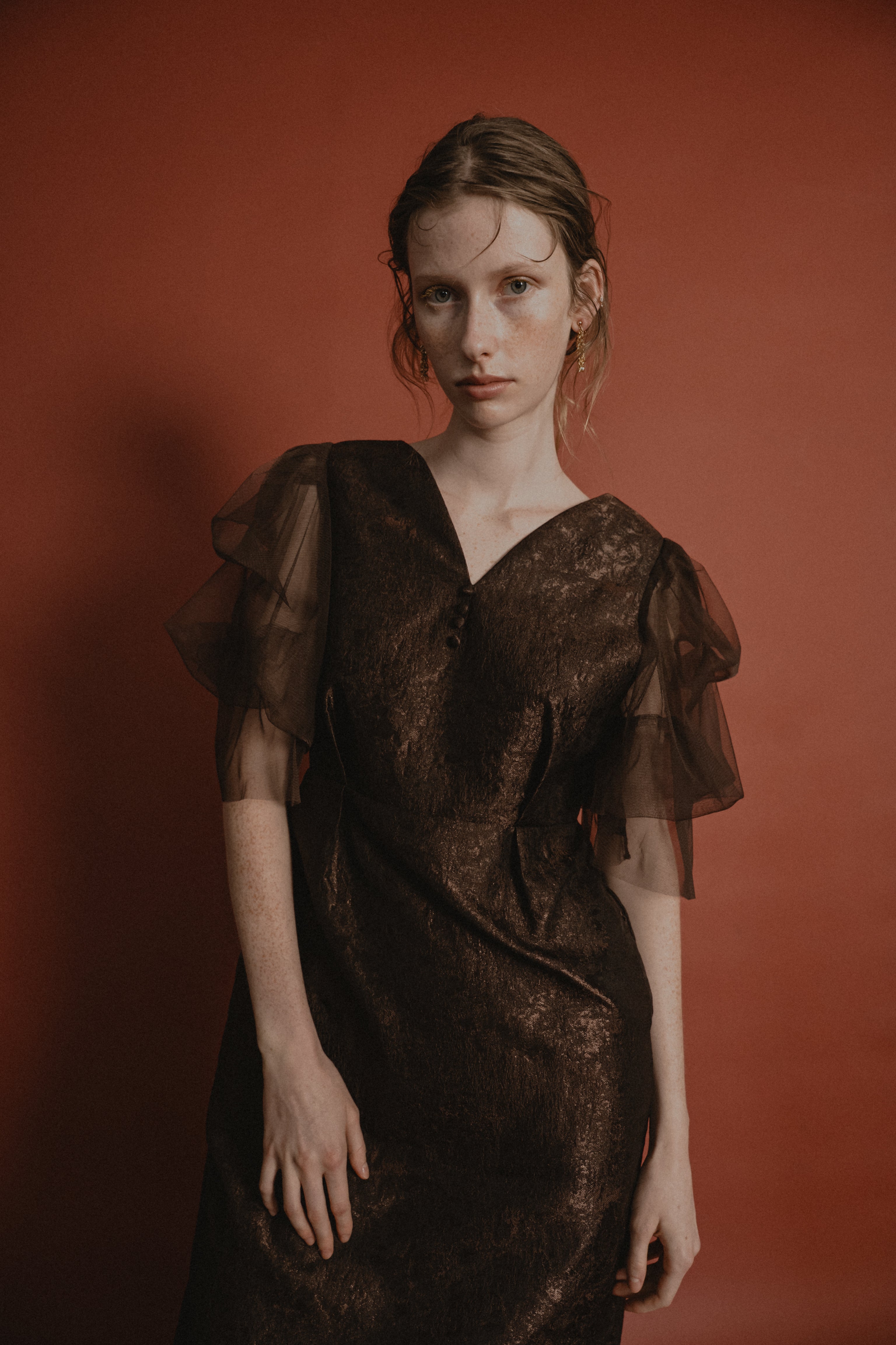 1029 Sheer allure dress