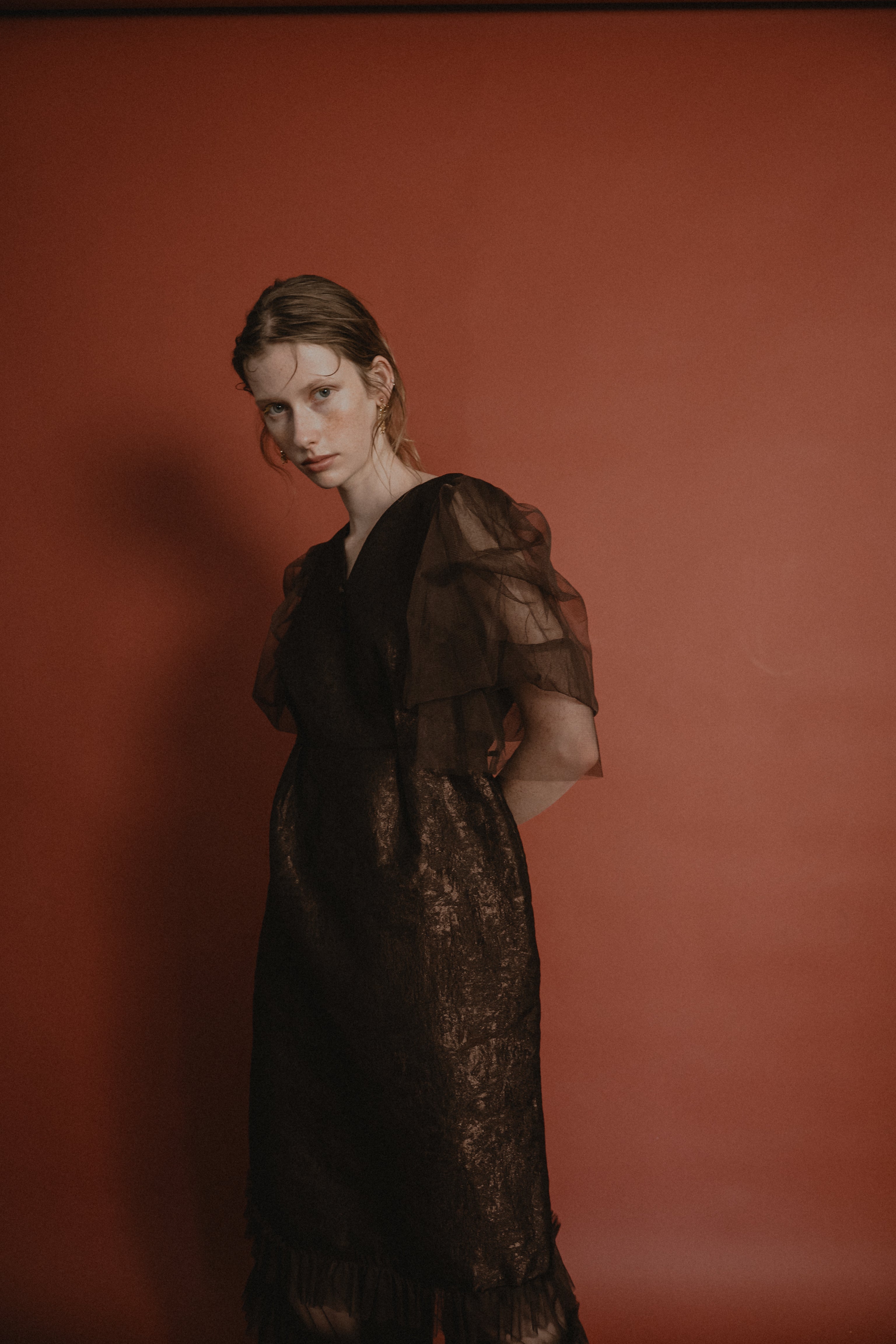1029 Sheer allure dress