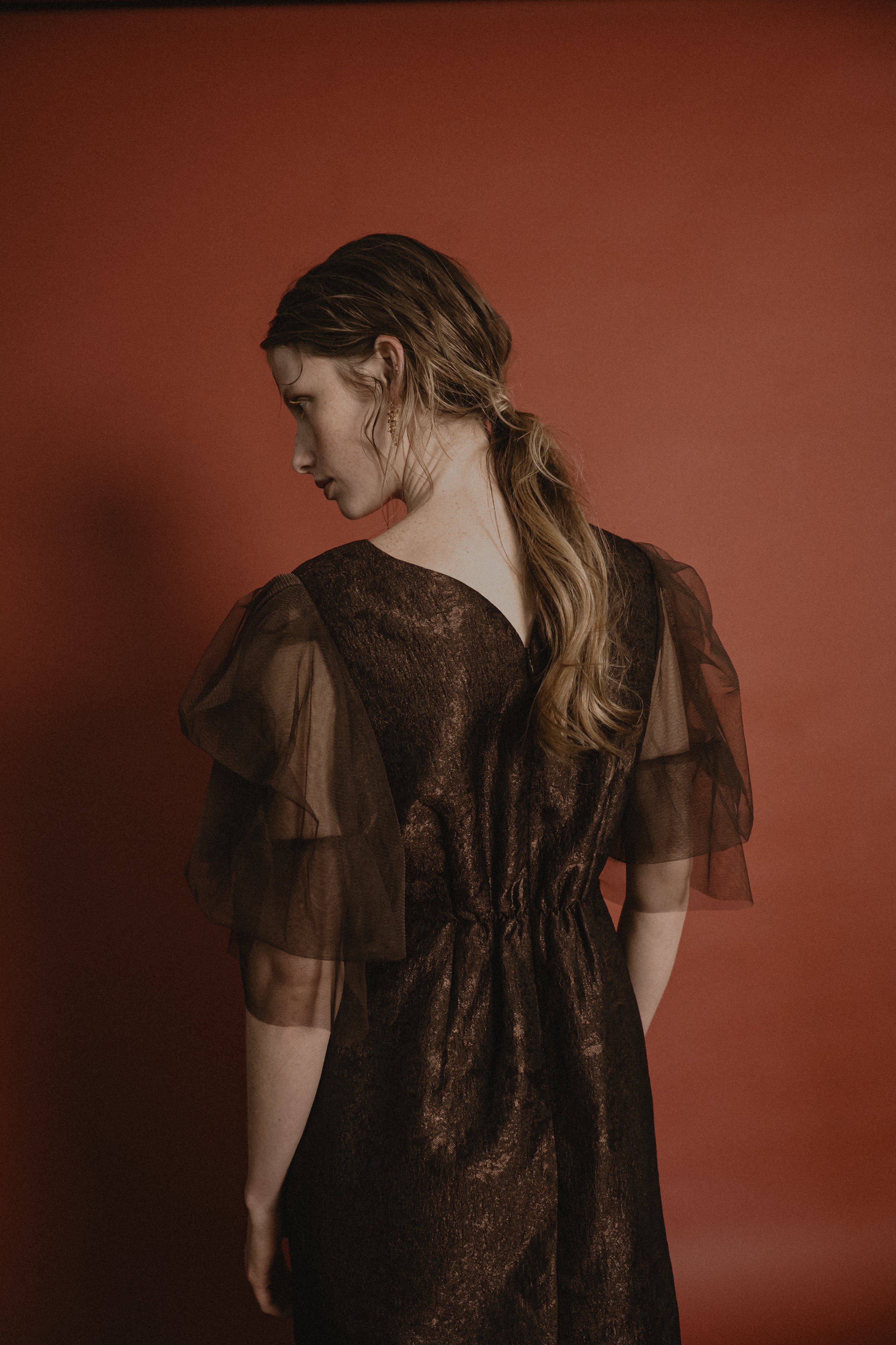 1029 Sheer allure dress