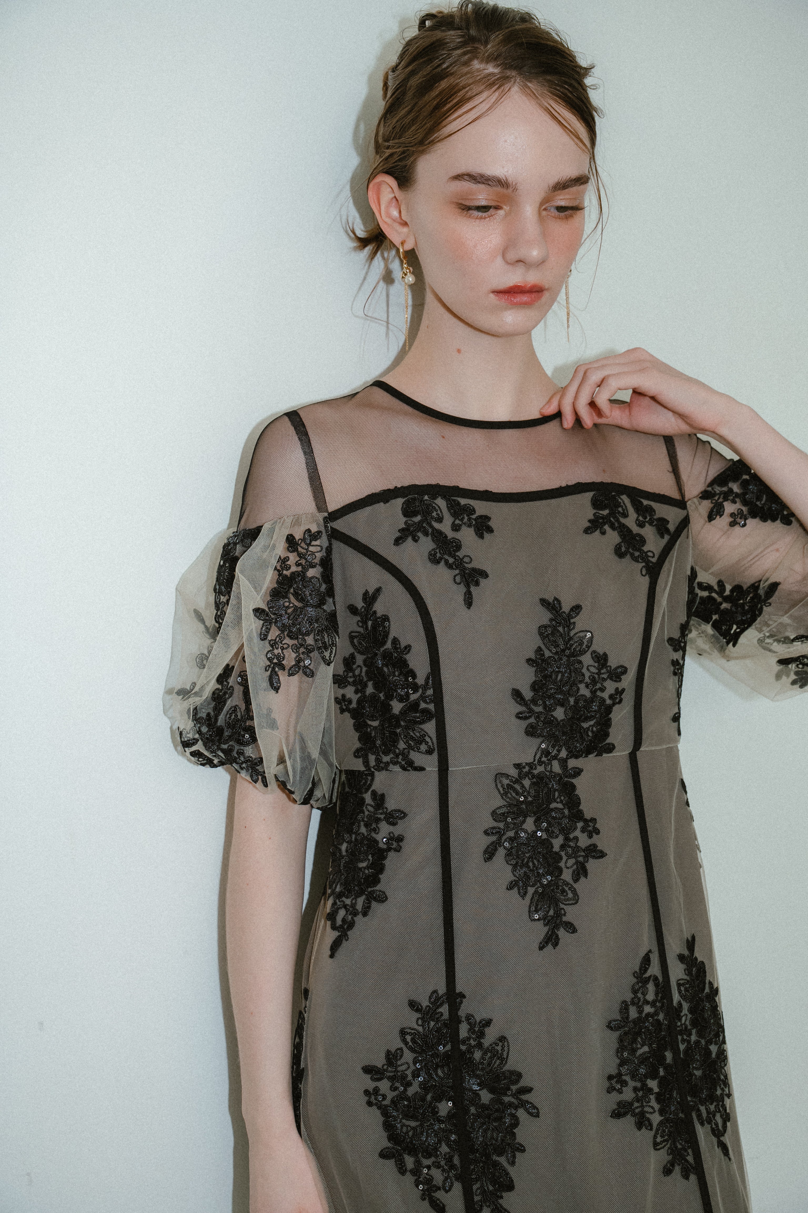 1044 Embroidered sheer dress