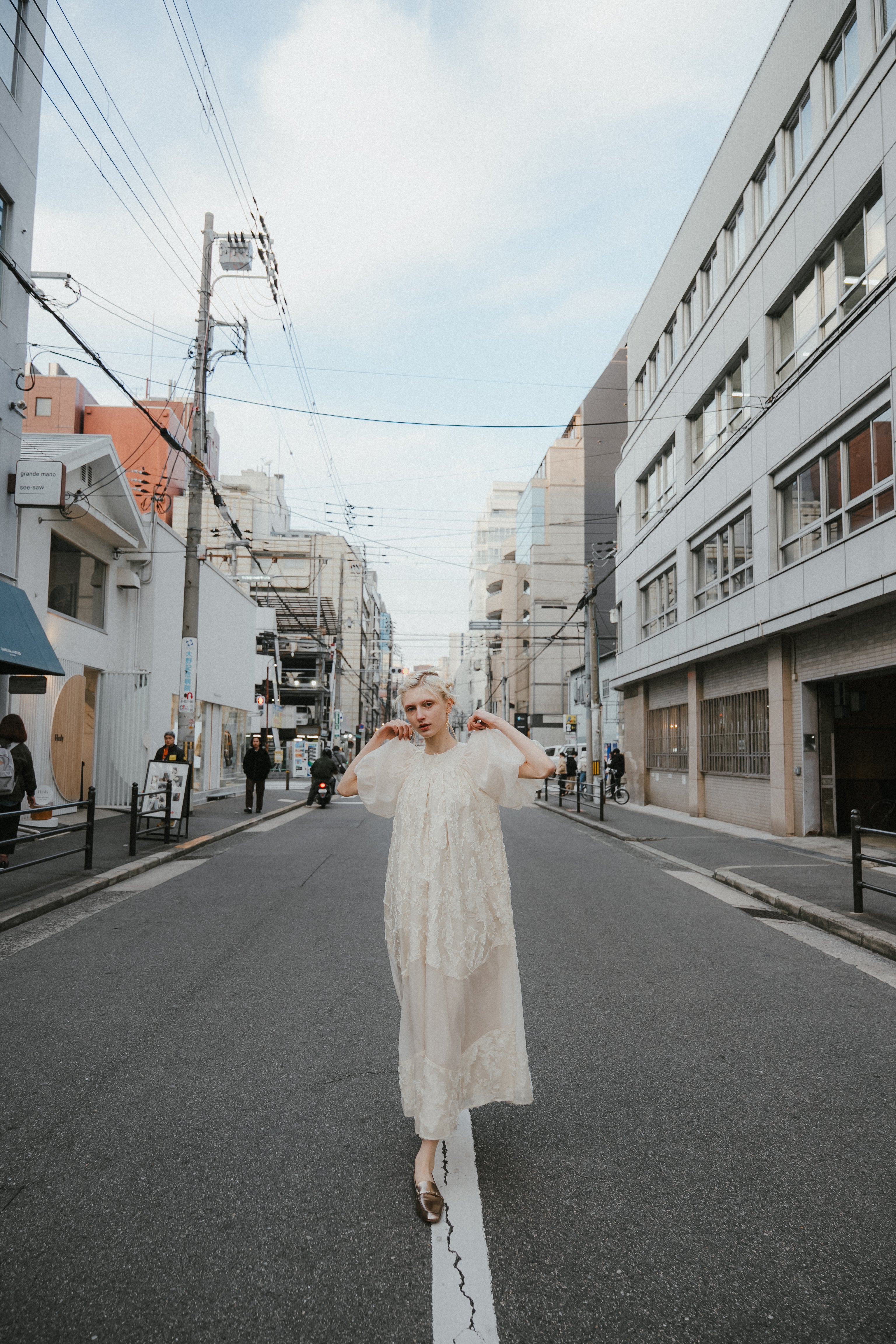 1088 Bloom  jacquard dress