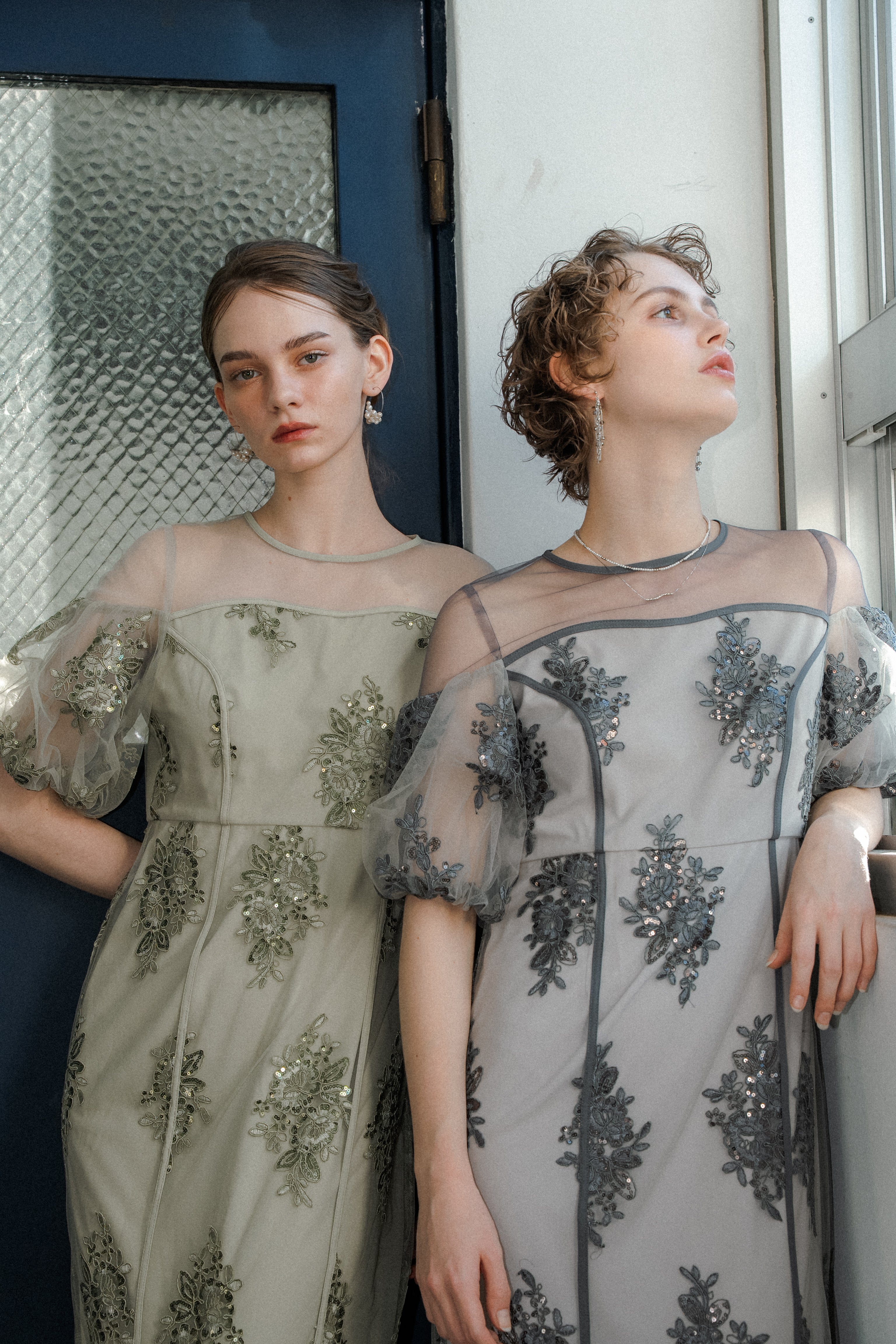 1044 Embroidered sheer dress