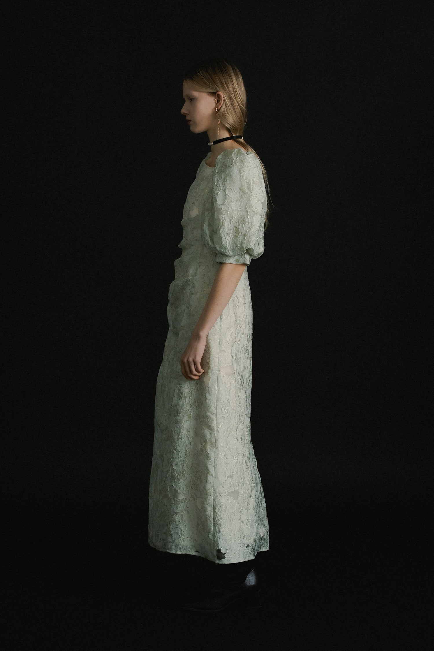 1071 Sheer Jacquard Organza Dress