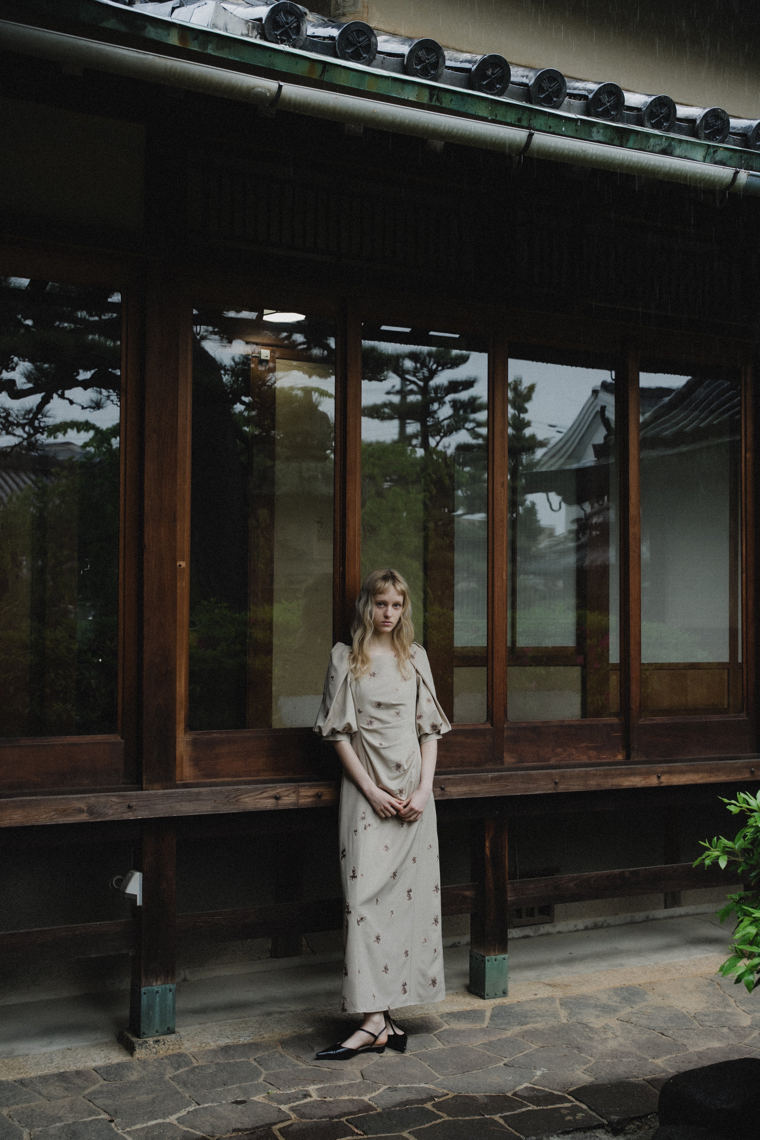 1109 Petal Embroidery Dress