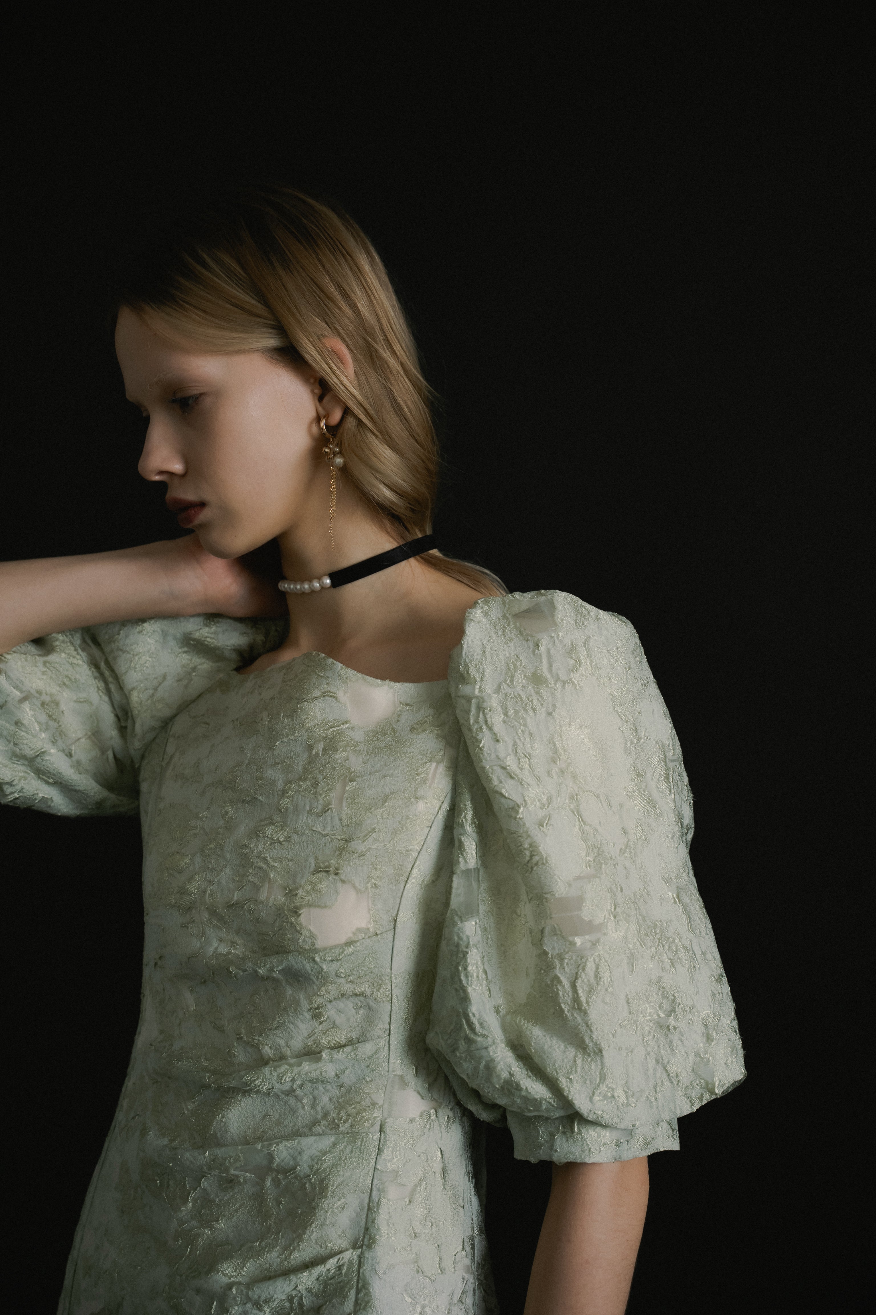 1071 Sheer Jacquard Organza Dress