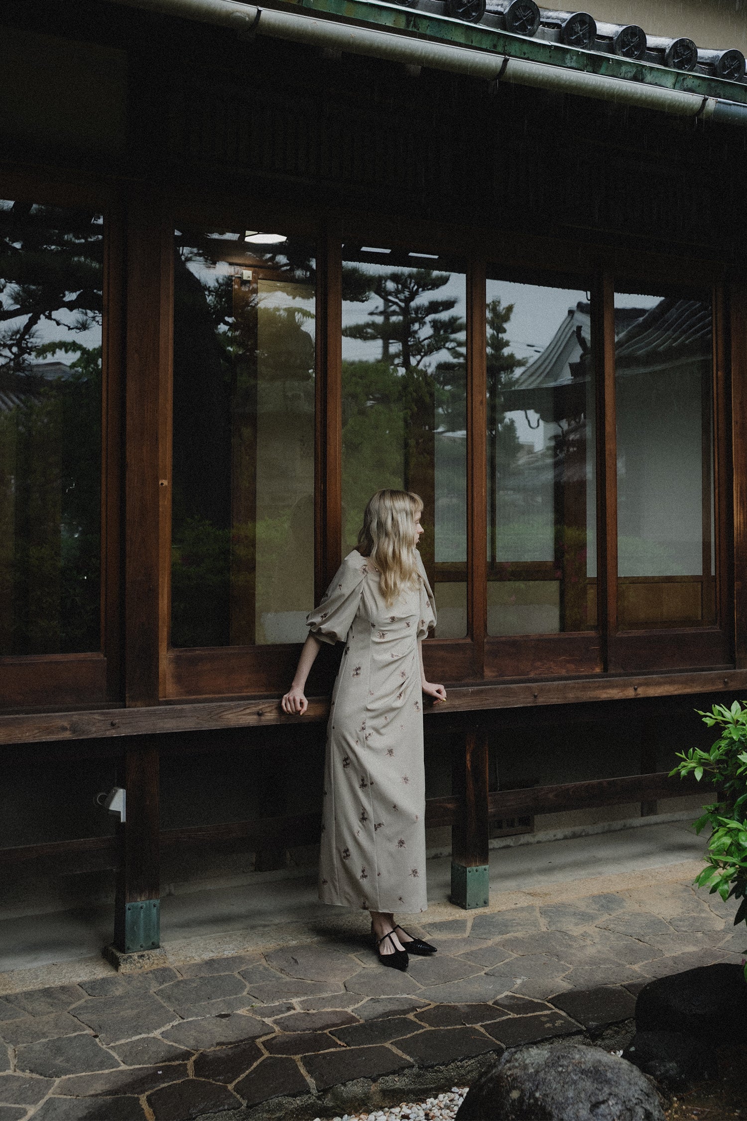 1109 Petal Embroidery Dress