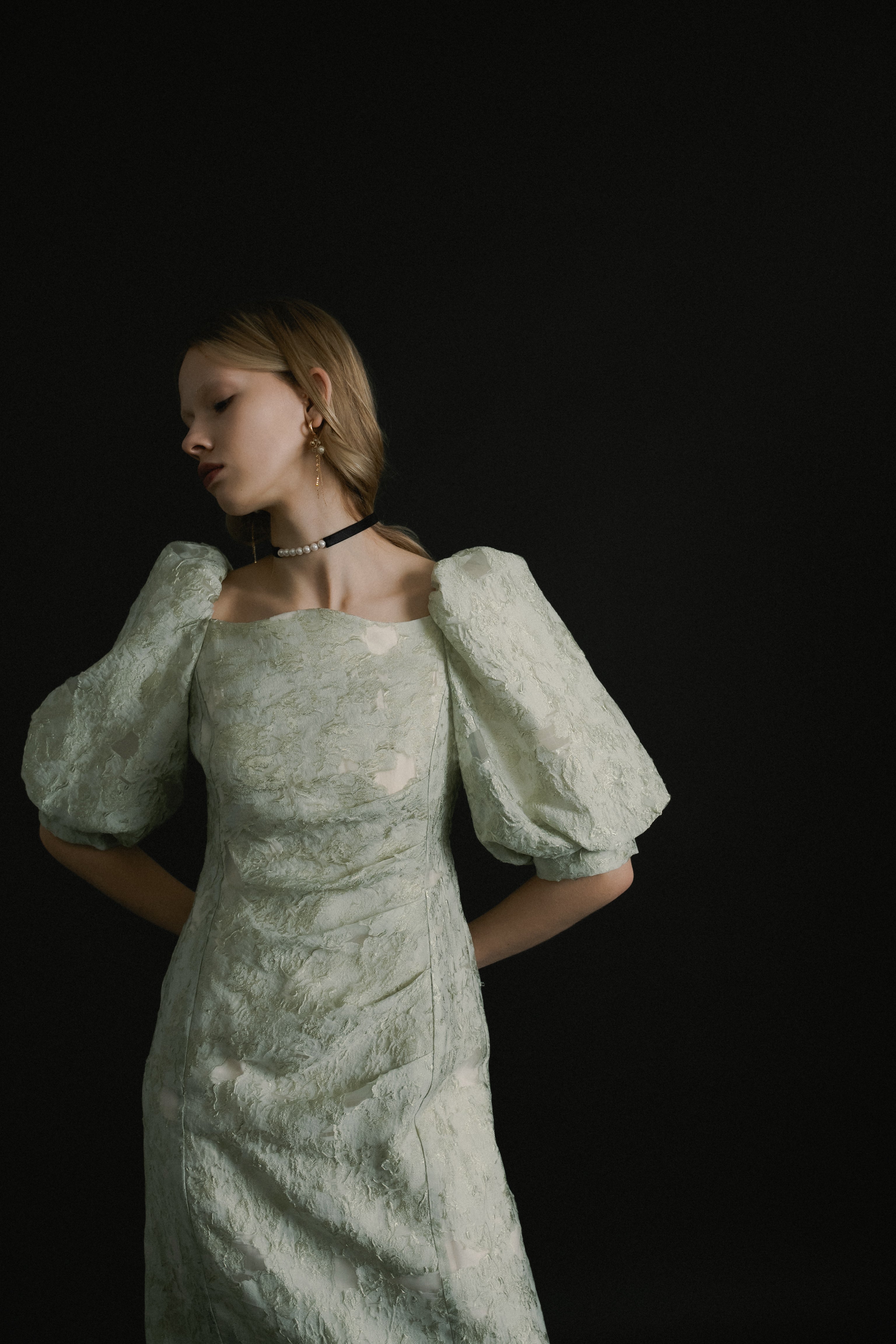 1071 Sheer Jacquard Organza Dress