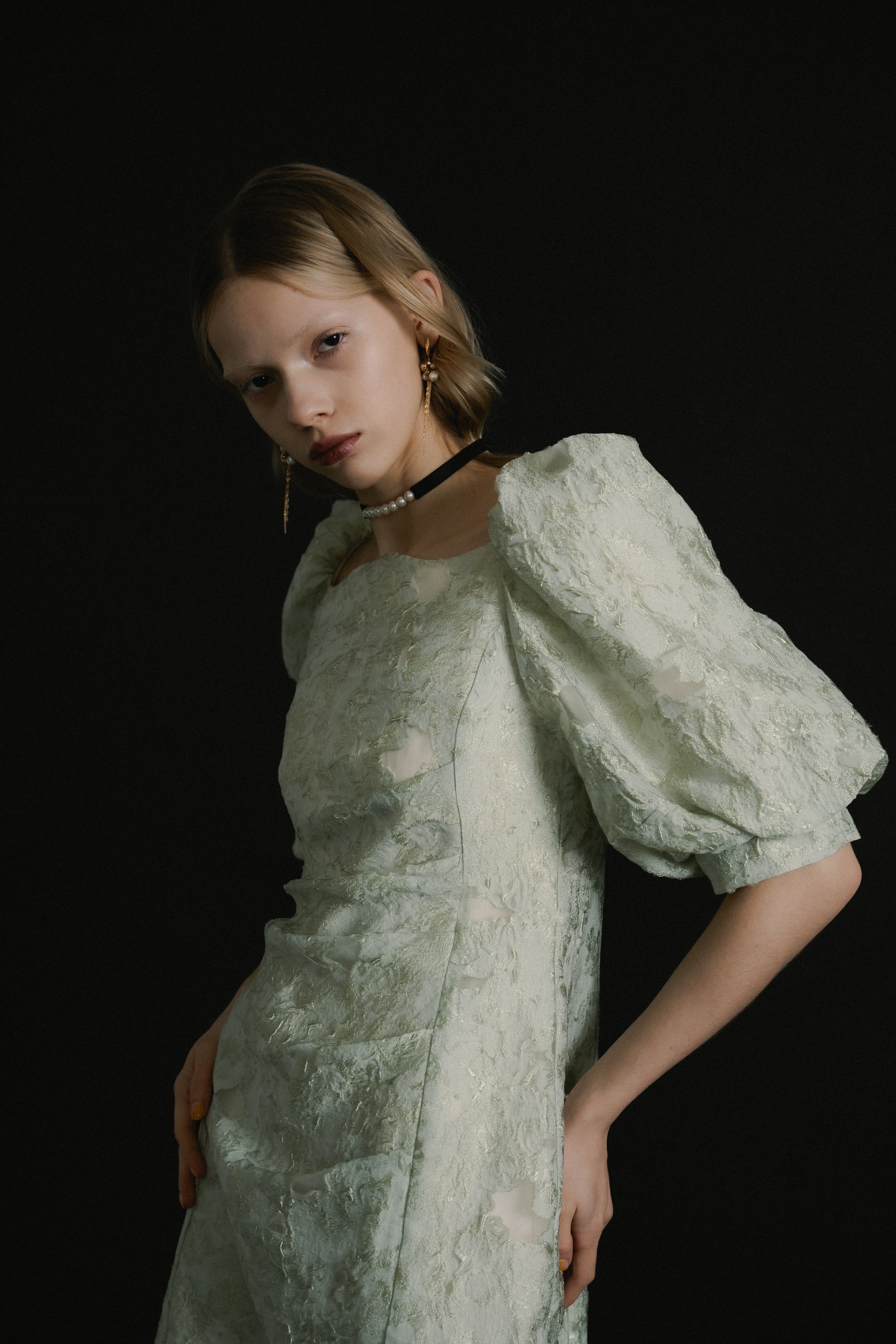 1071 Sheer Jacquard Organza Dress