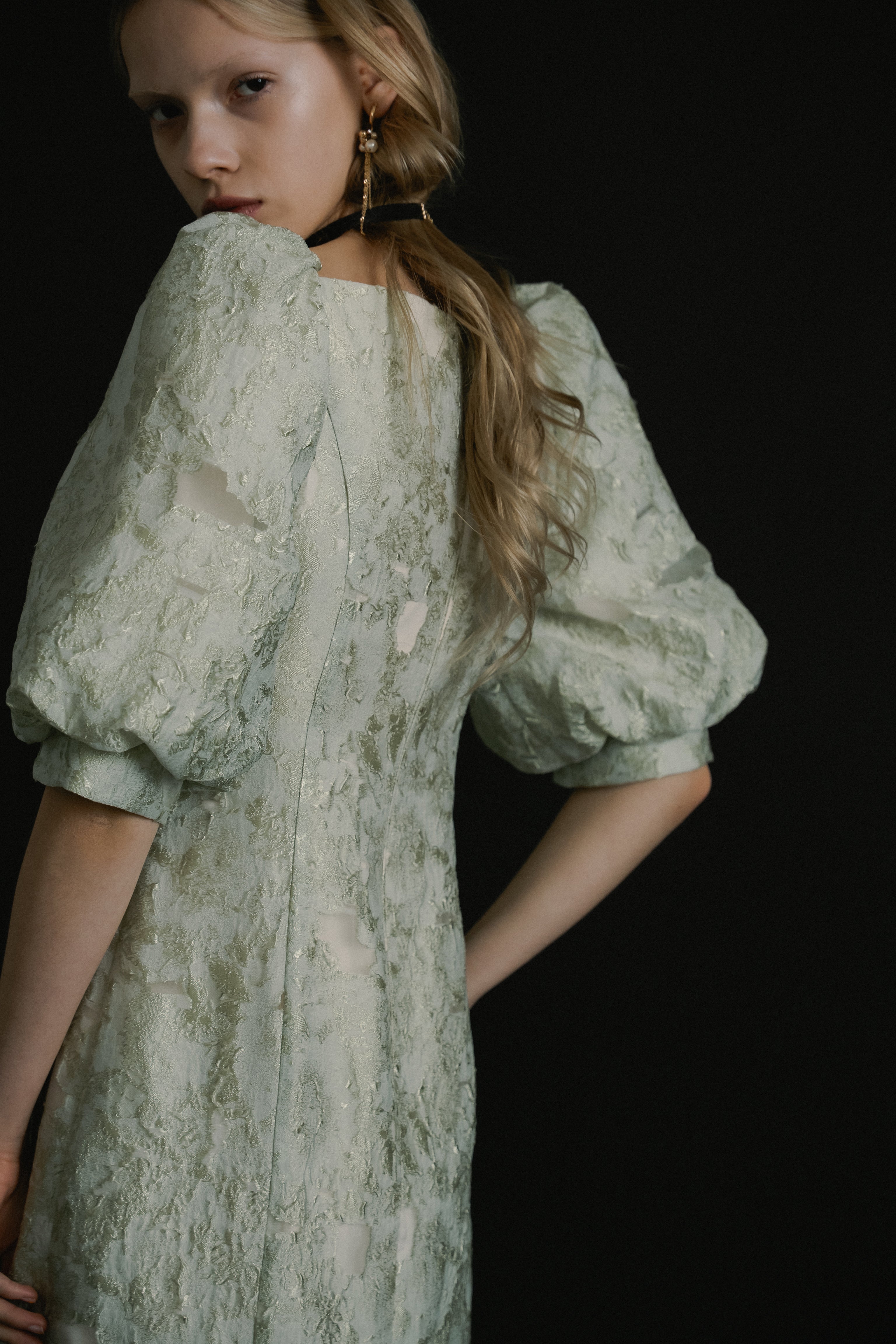 1071 Sheer Jacquard Organza Dress