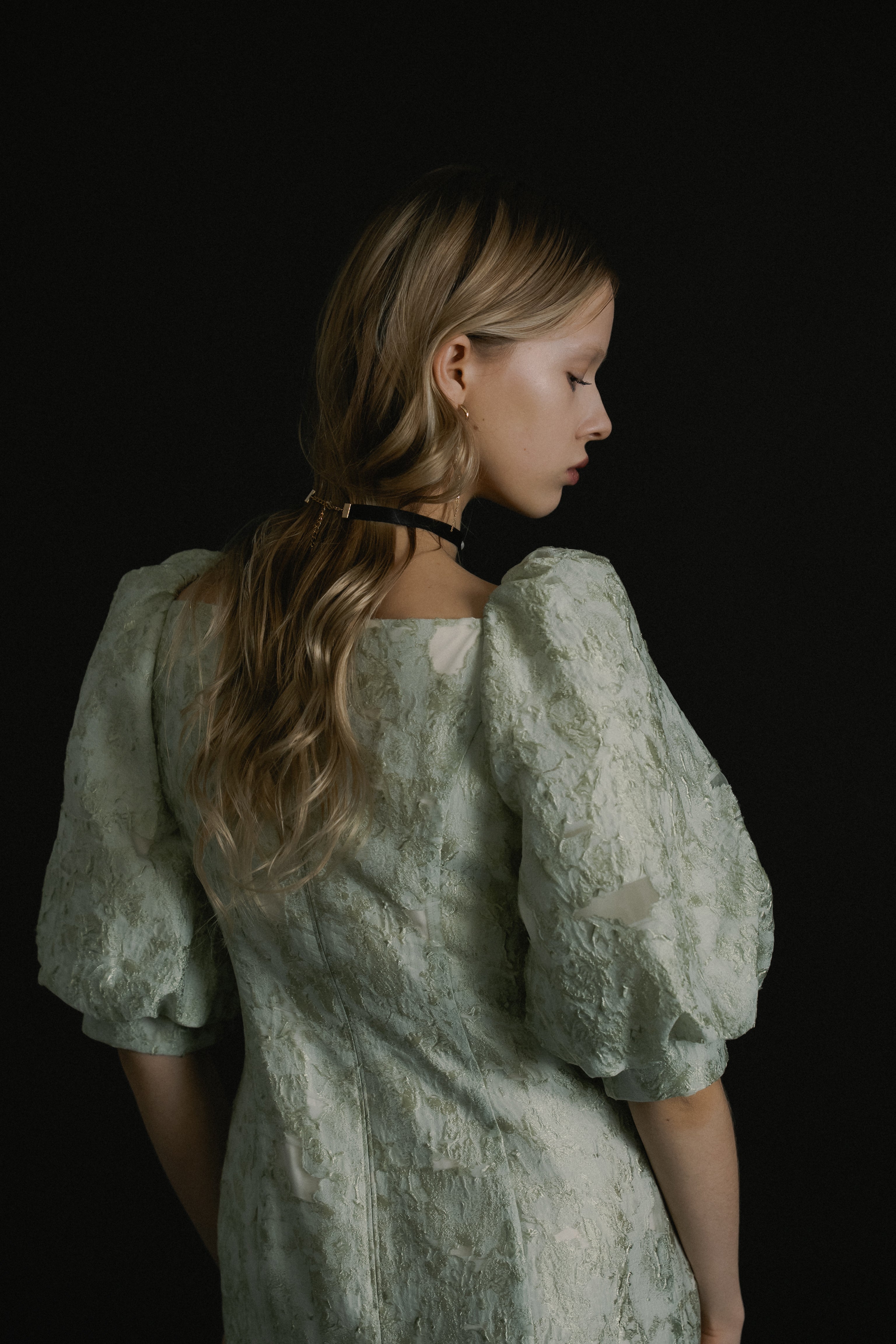 1071 Sheer Jacquard Organza Dress