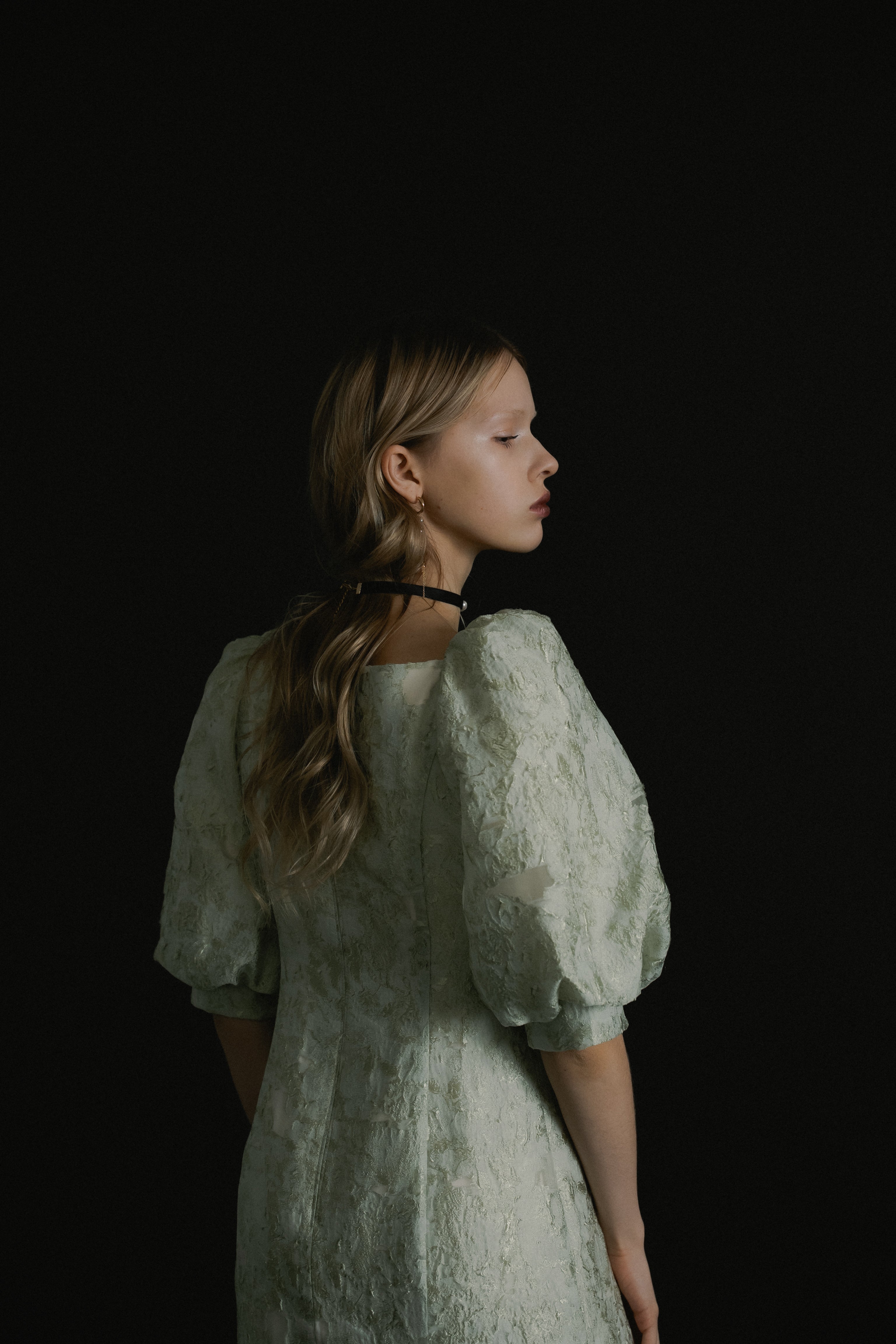 1071 Sheer Jacquard Organza Dress