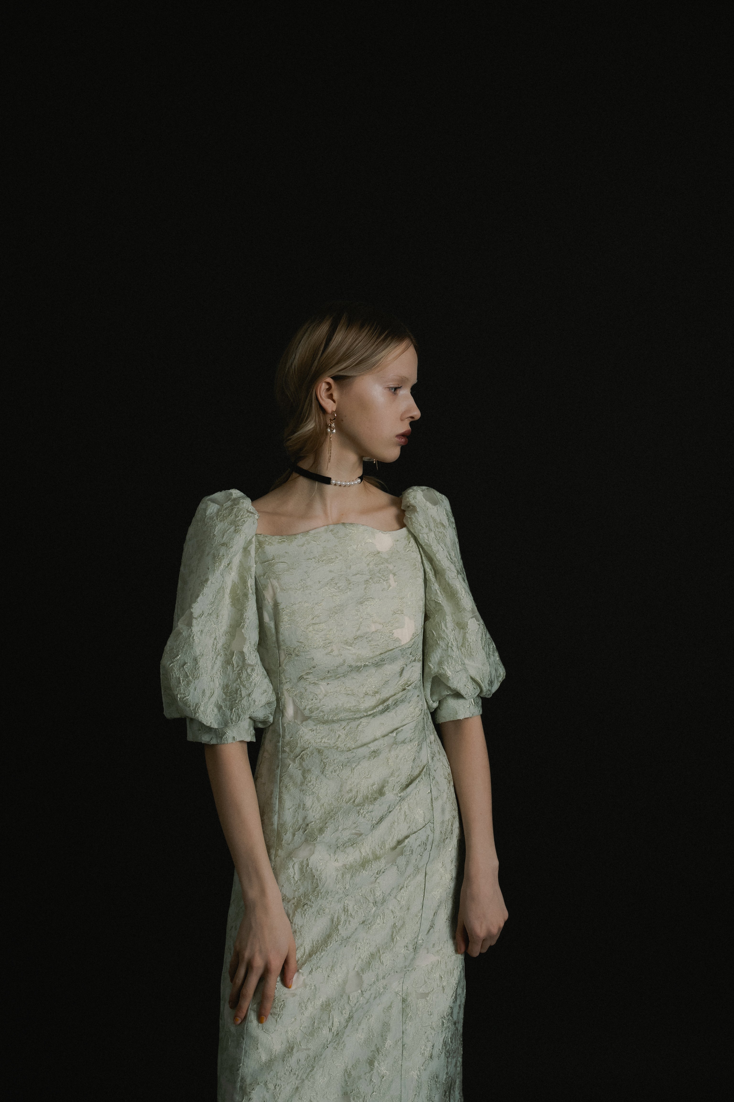 1071 Sheer Jacquard Organza Dress