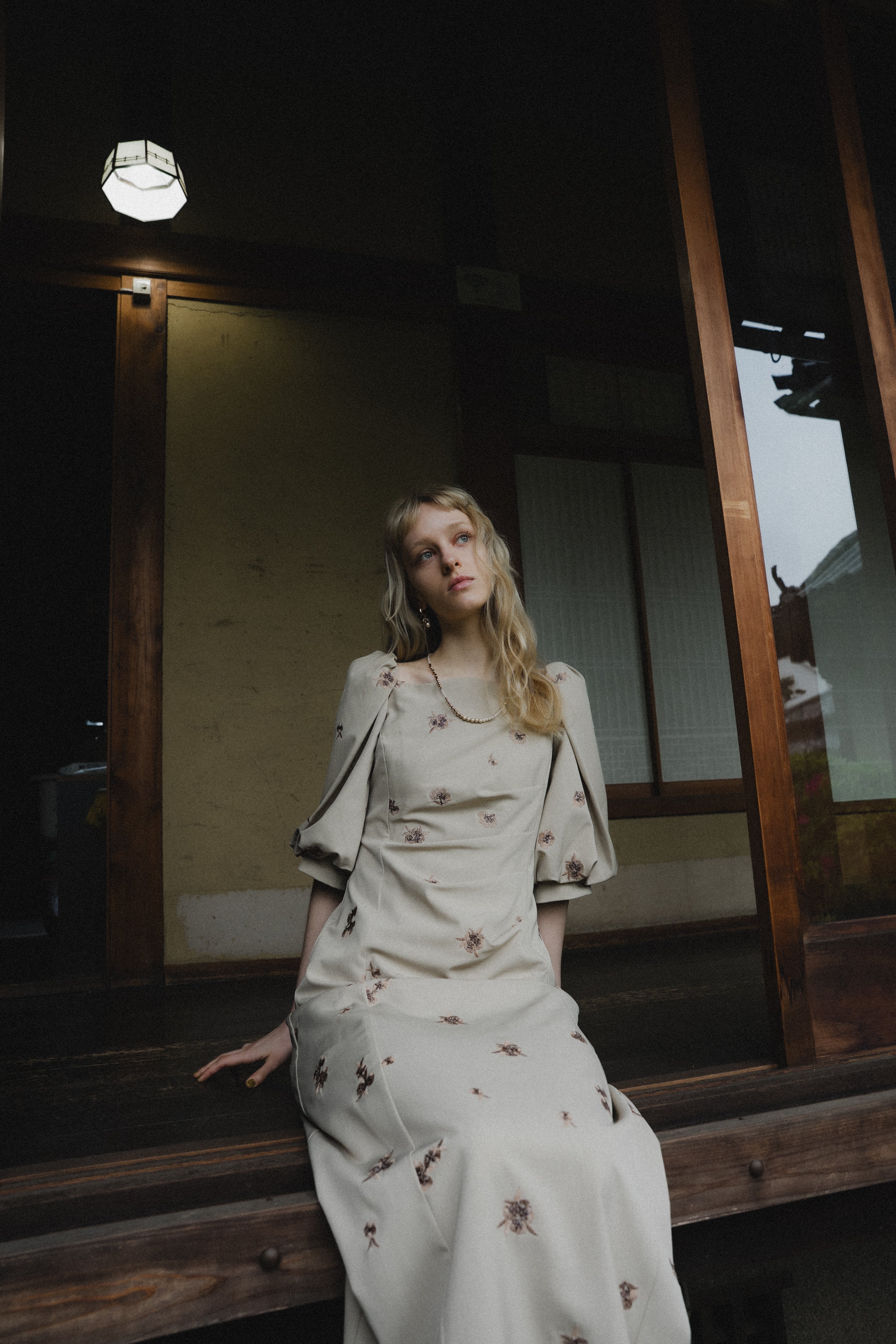 1109 Petal Embroidery Dress