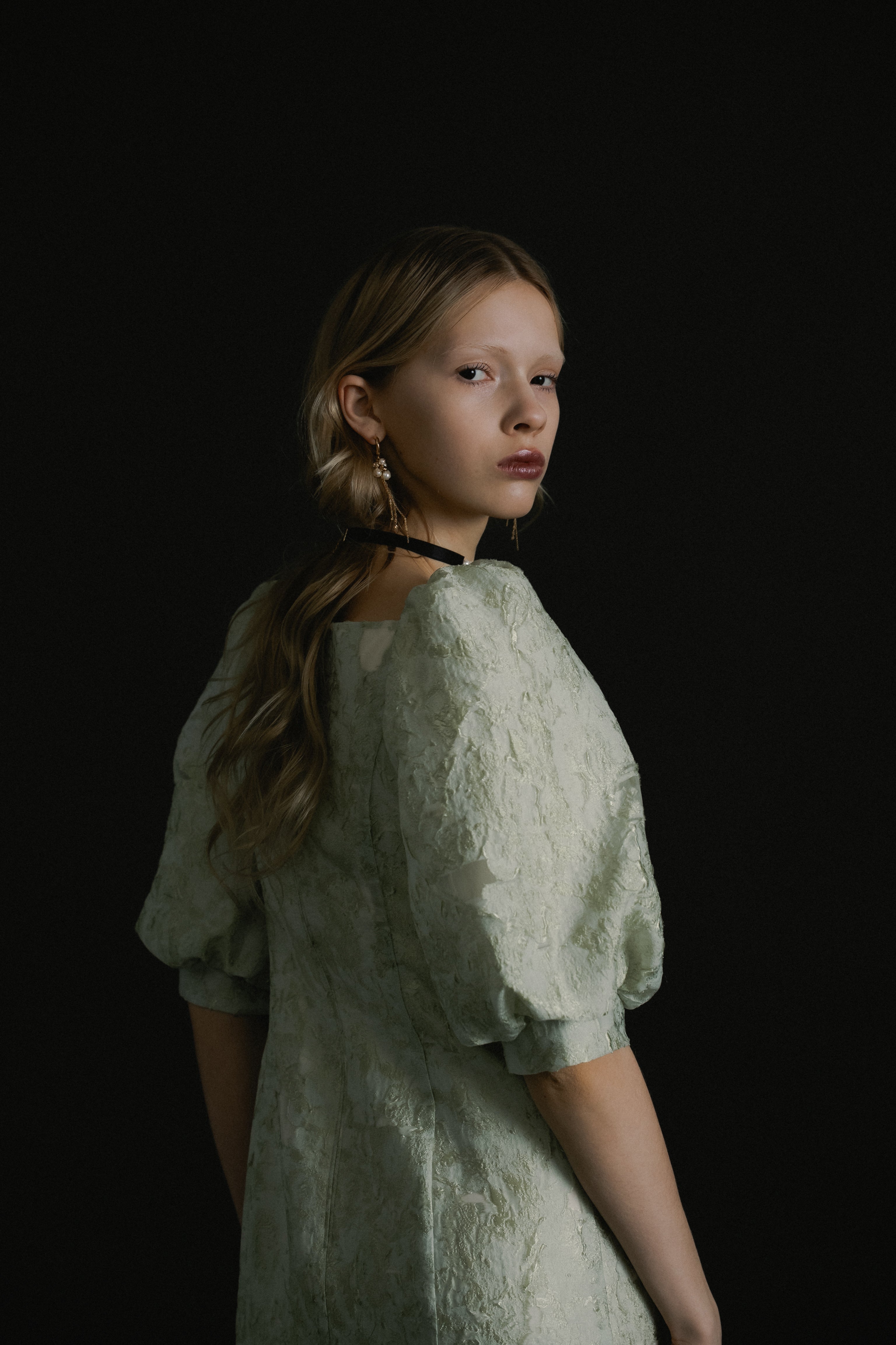 1071 Sheer Jacquard Organza Dress