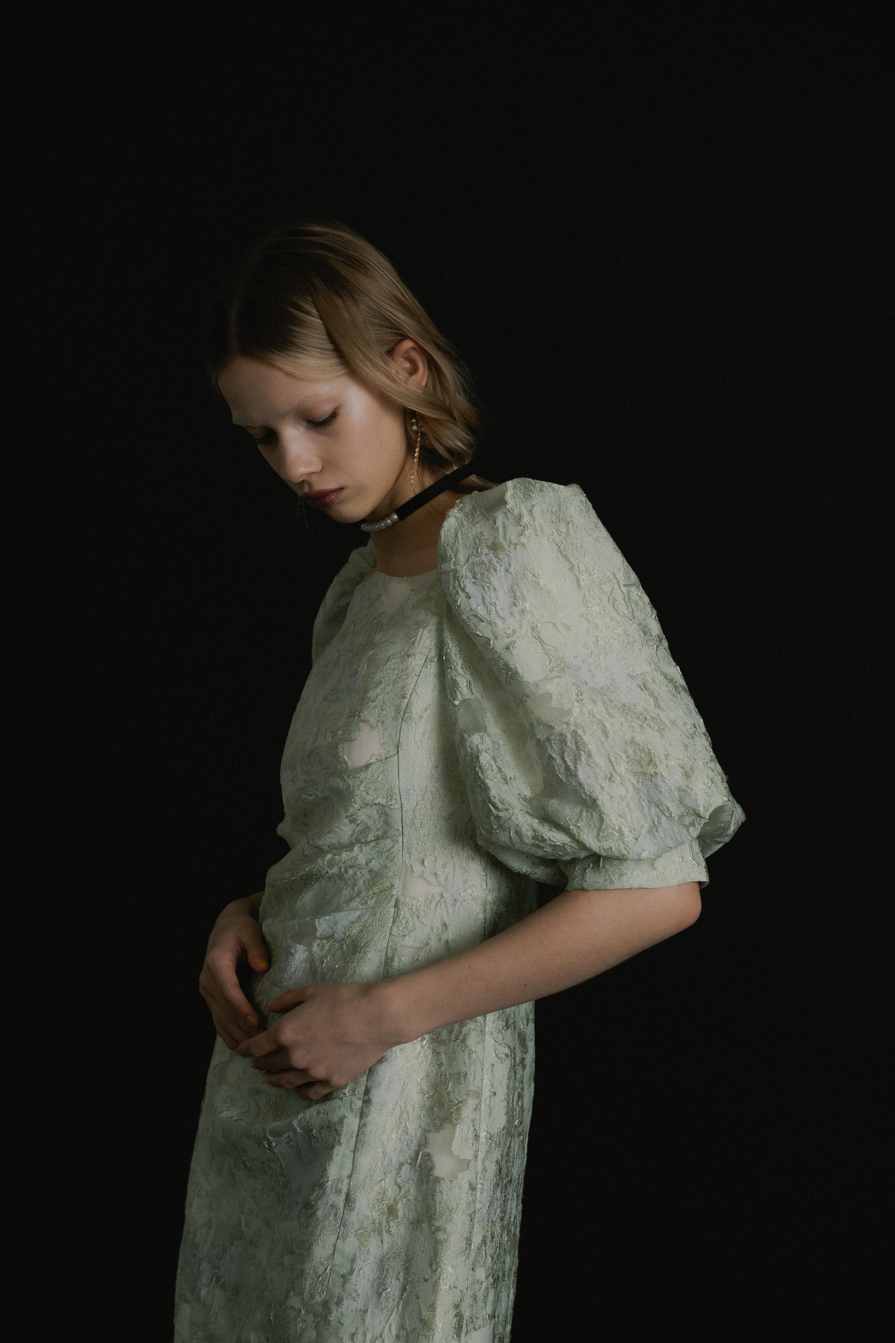 1071 Sheer Jacquard Organza Dress