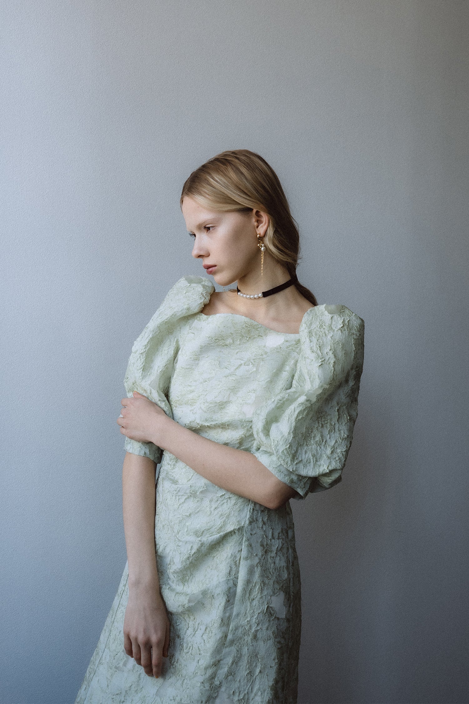1071 Sheer Jacquard Organza Dress