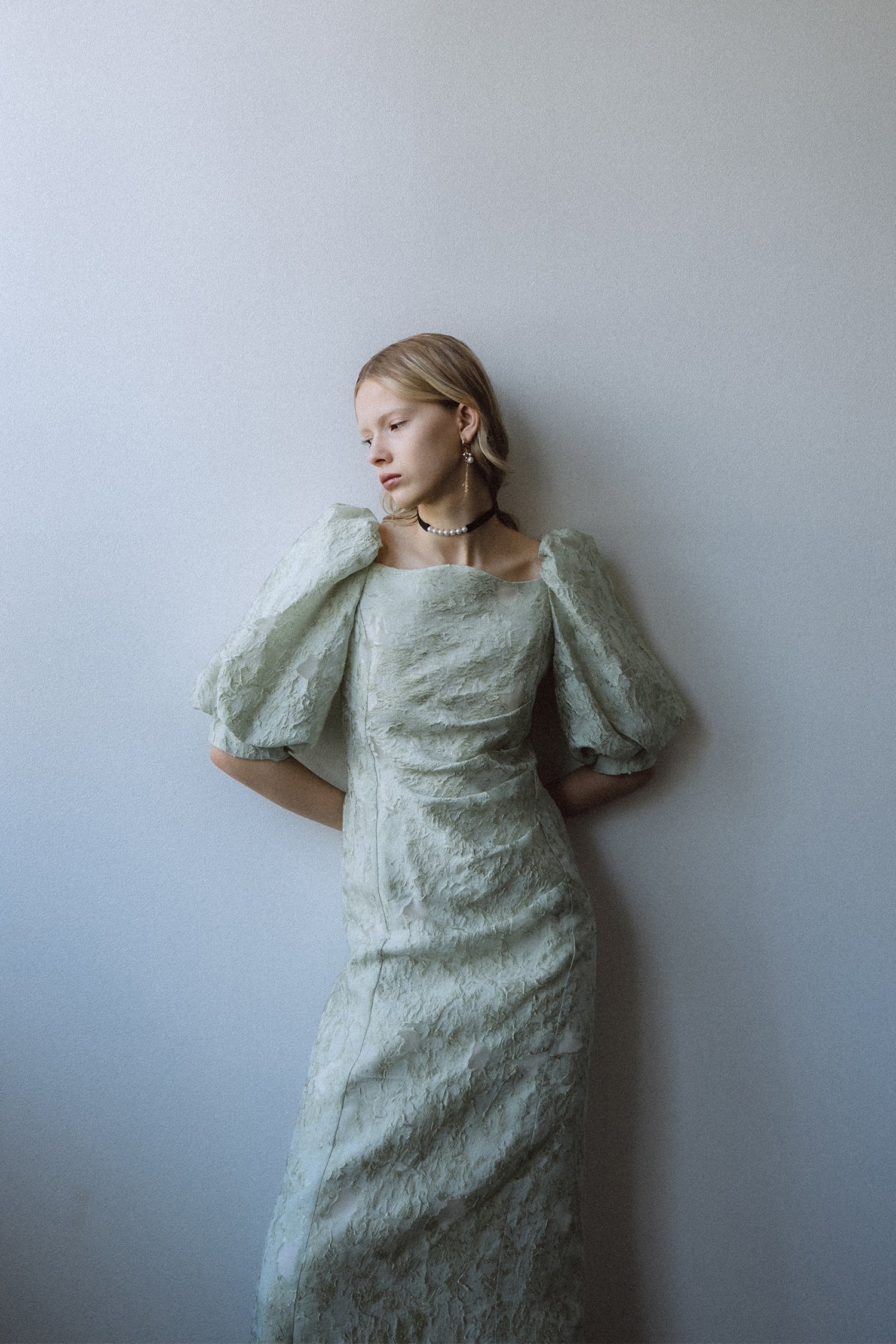1071 Sheer Jacquard Organza Dress