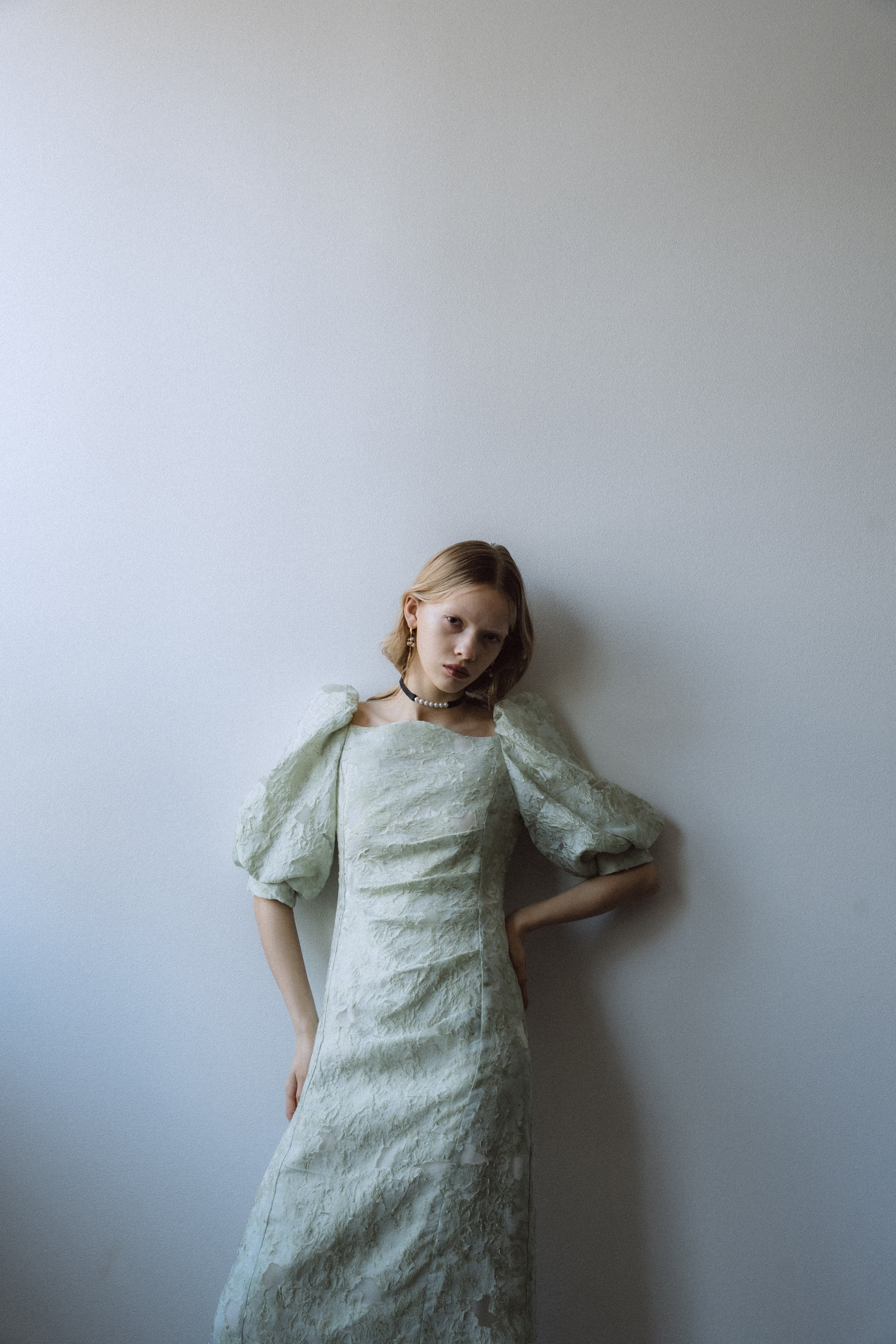 1071 Sheer Jacquard Organza Dress