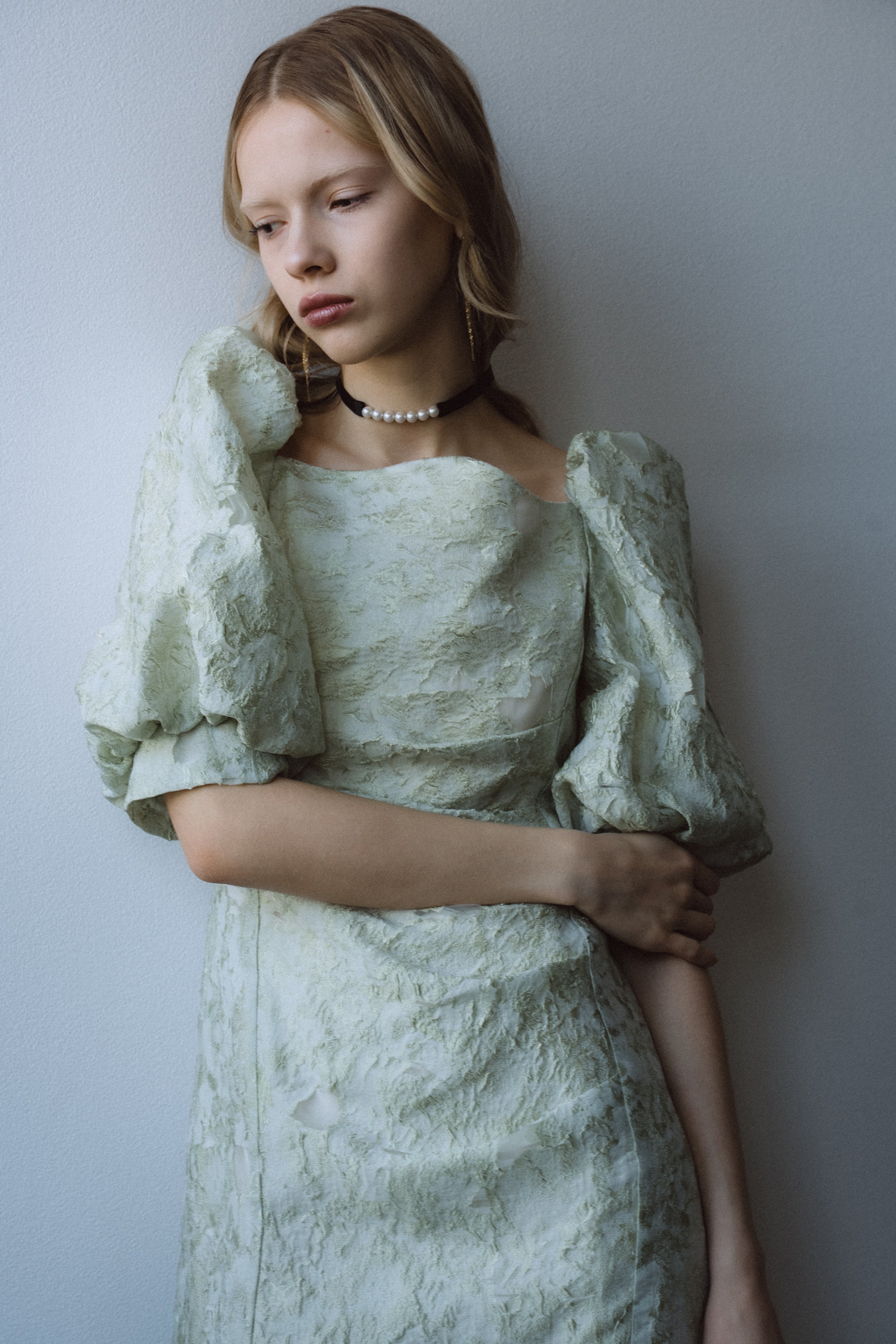 1071 Sheer Jacquard Organza Dress