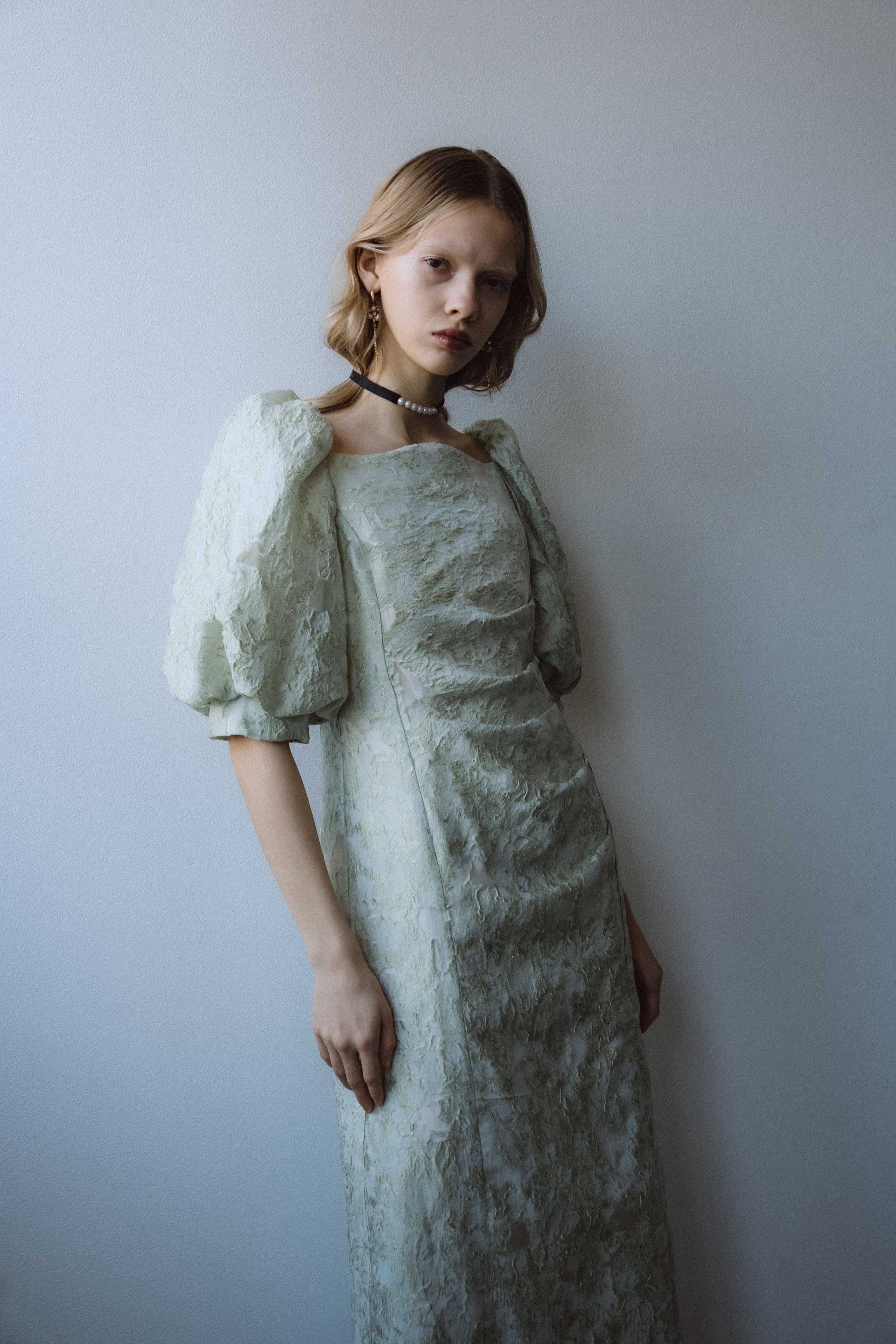 1071 Sheer Jacquard Organza Dress