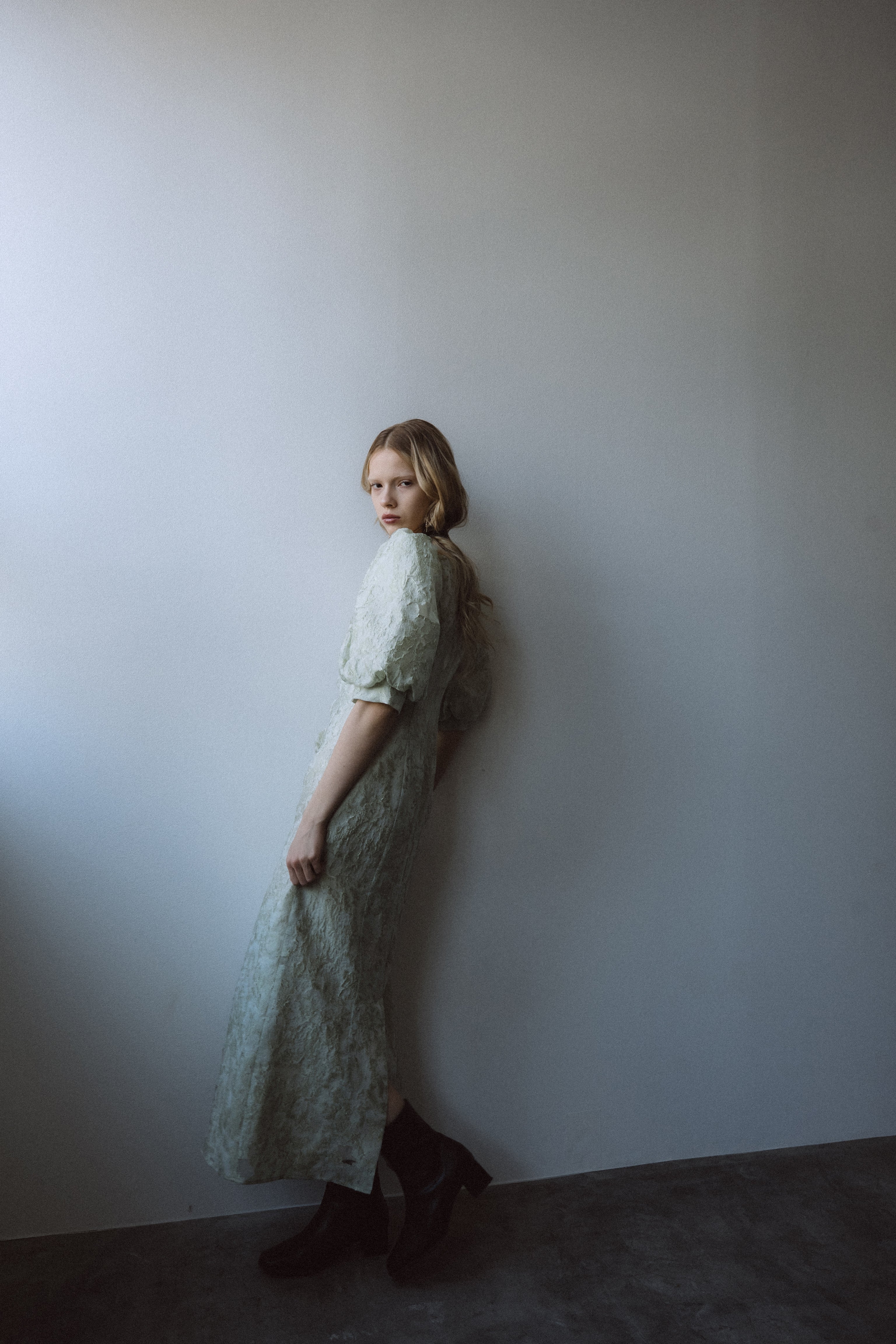 1071 Sheer Jacquard Organza Dress