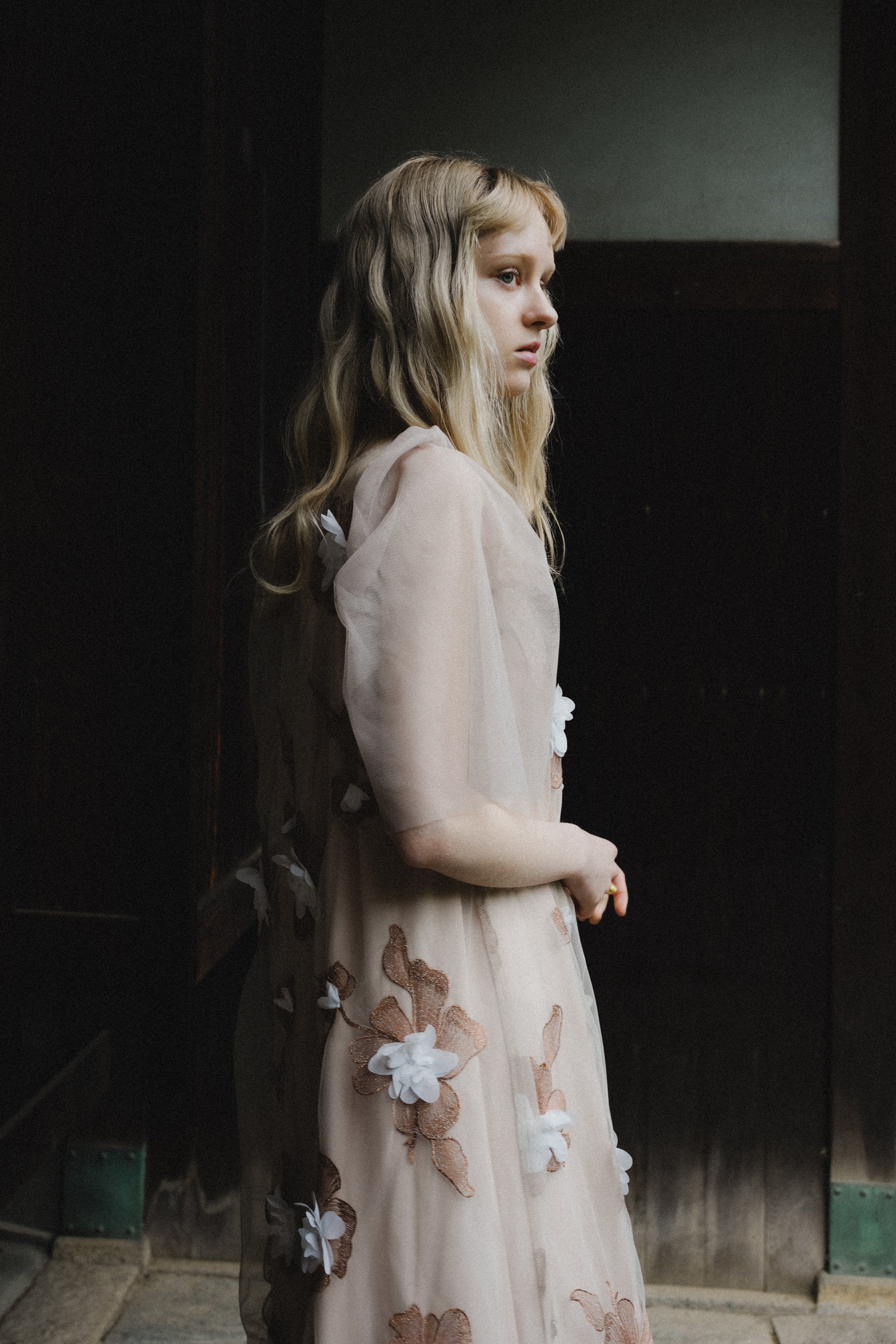 1132 3D Floral A-line Dress