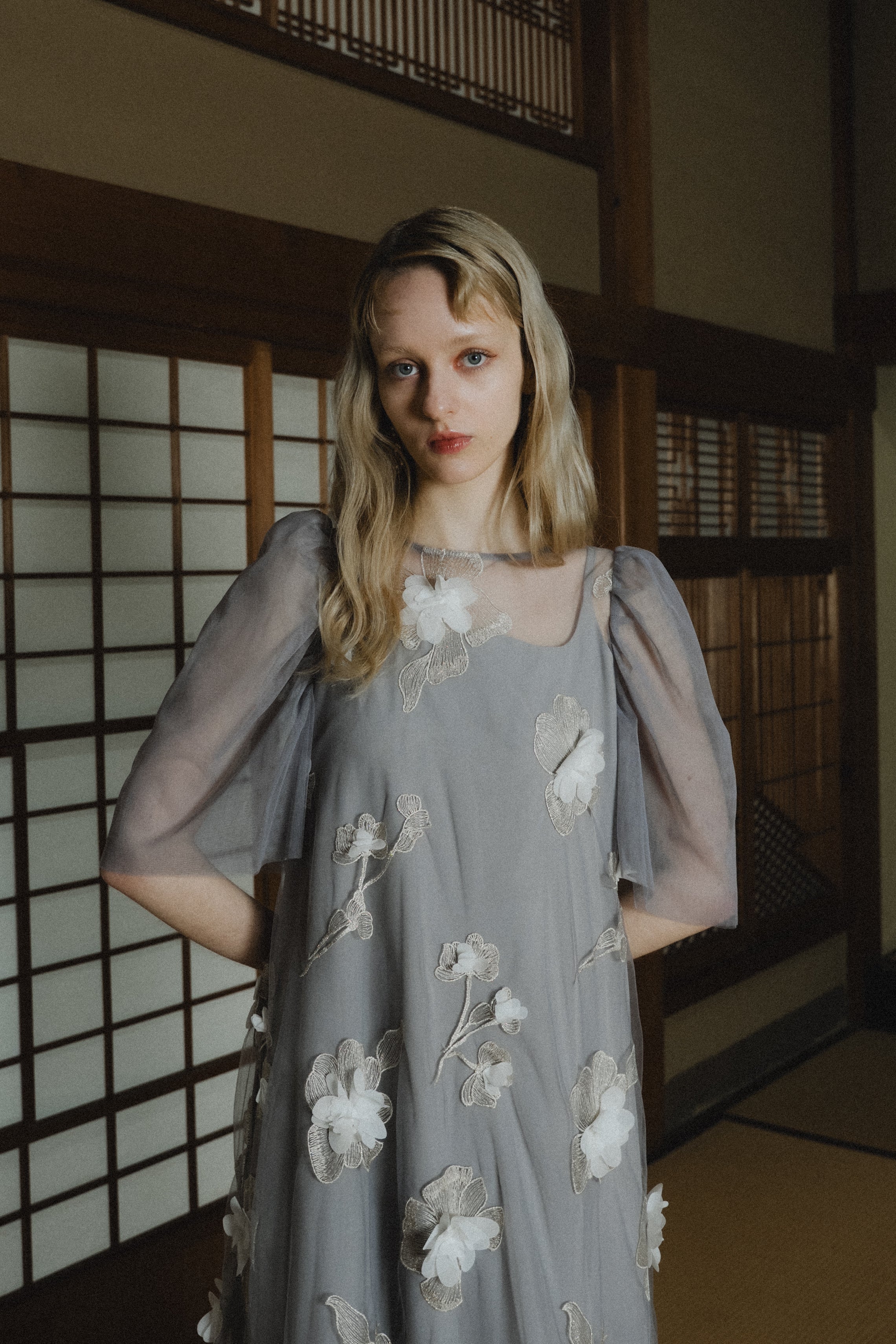 1132 3D Floral A-line Dress