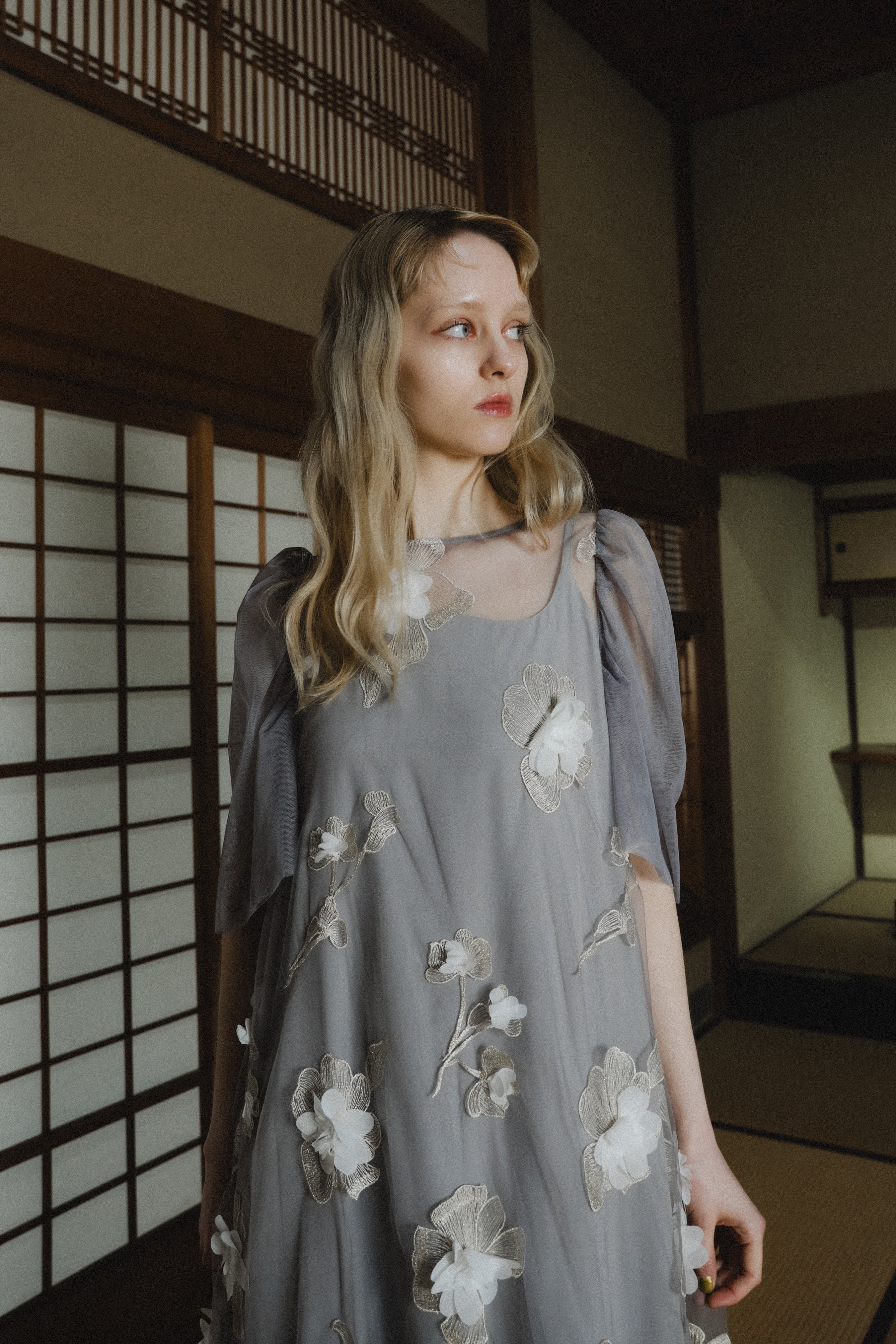 1132 3D Floral A-line Dress