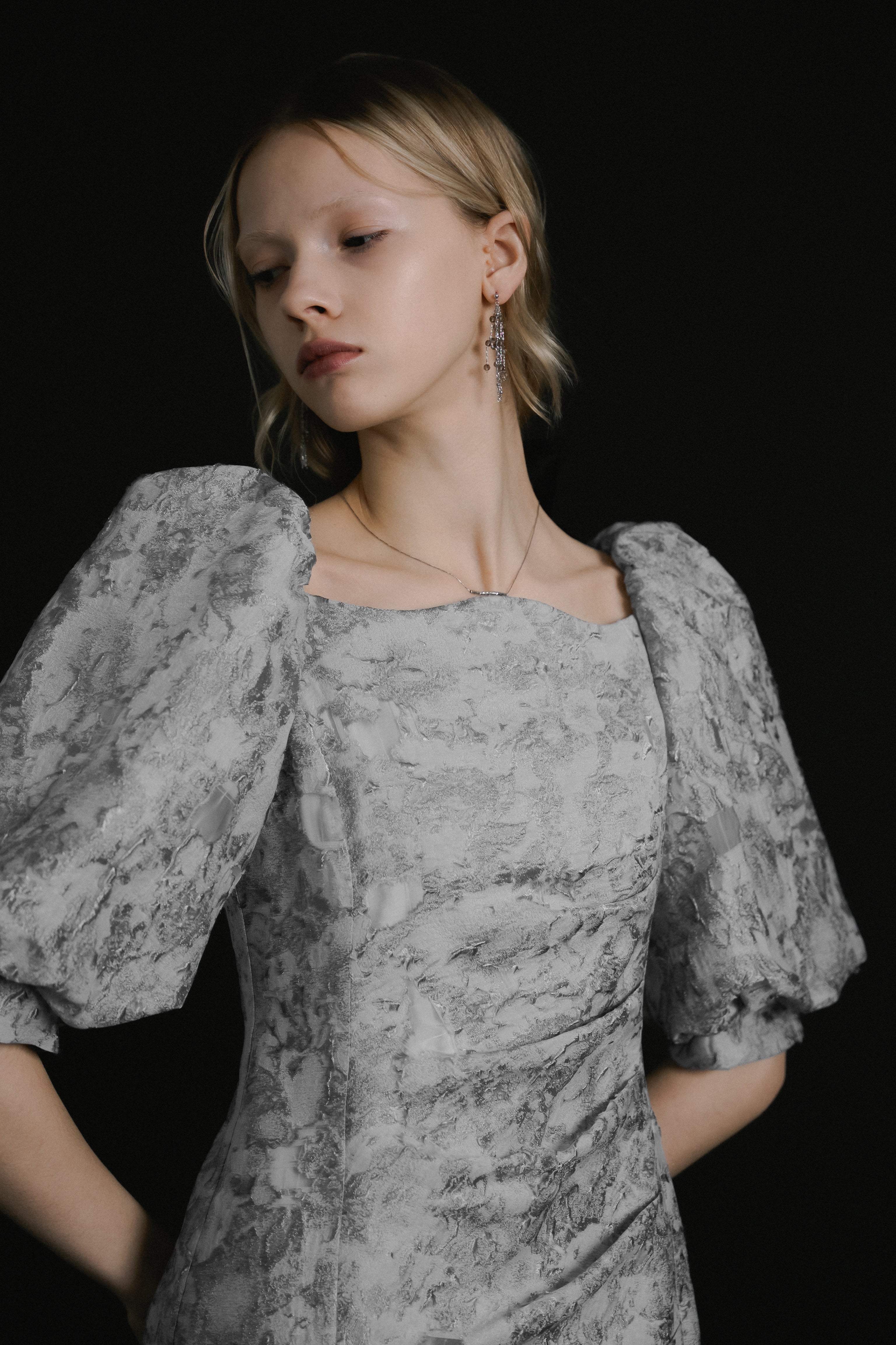 1071 Sheer Jacquard Organza Dress