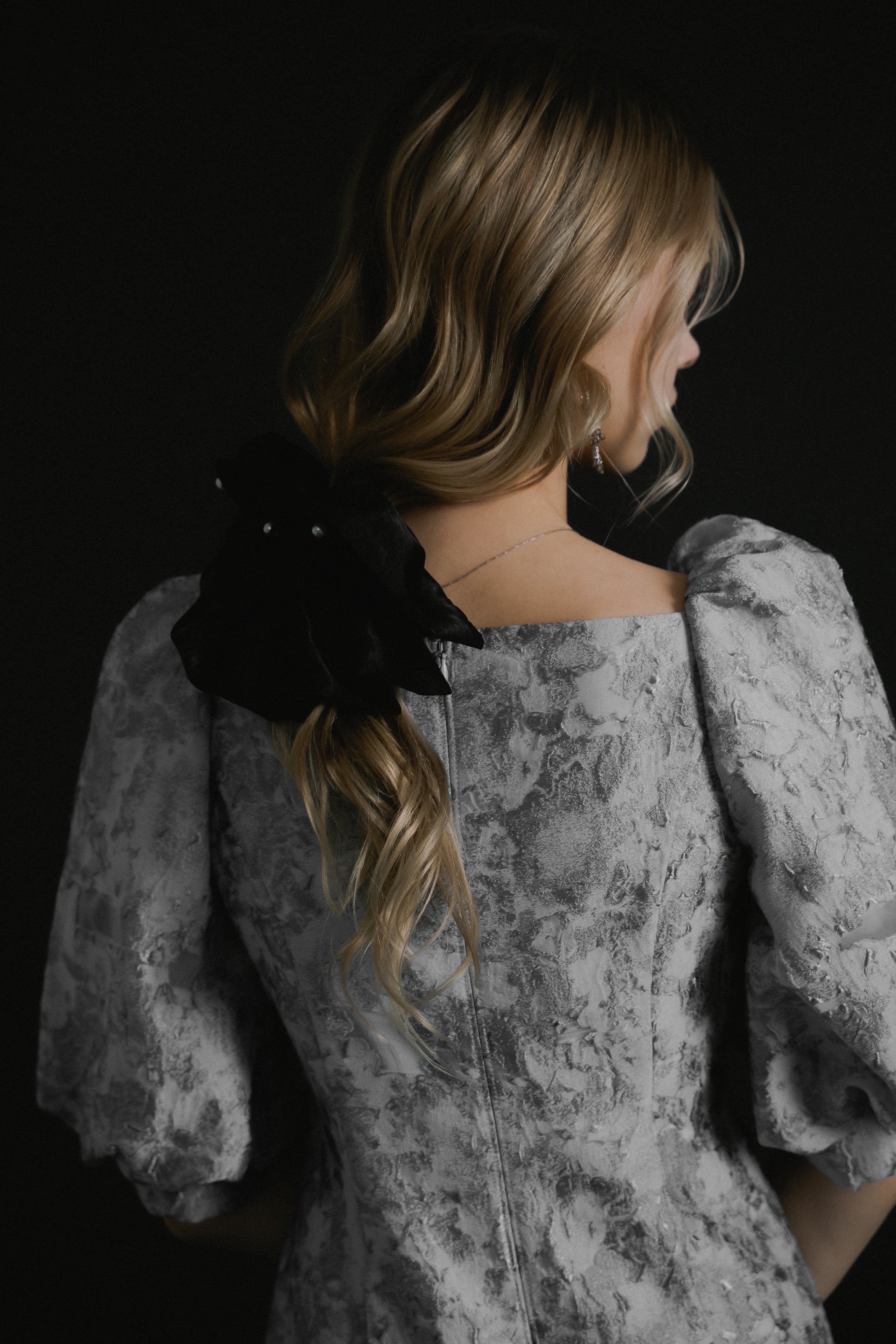 1071 Sheer Jacquard Organza Dress