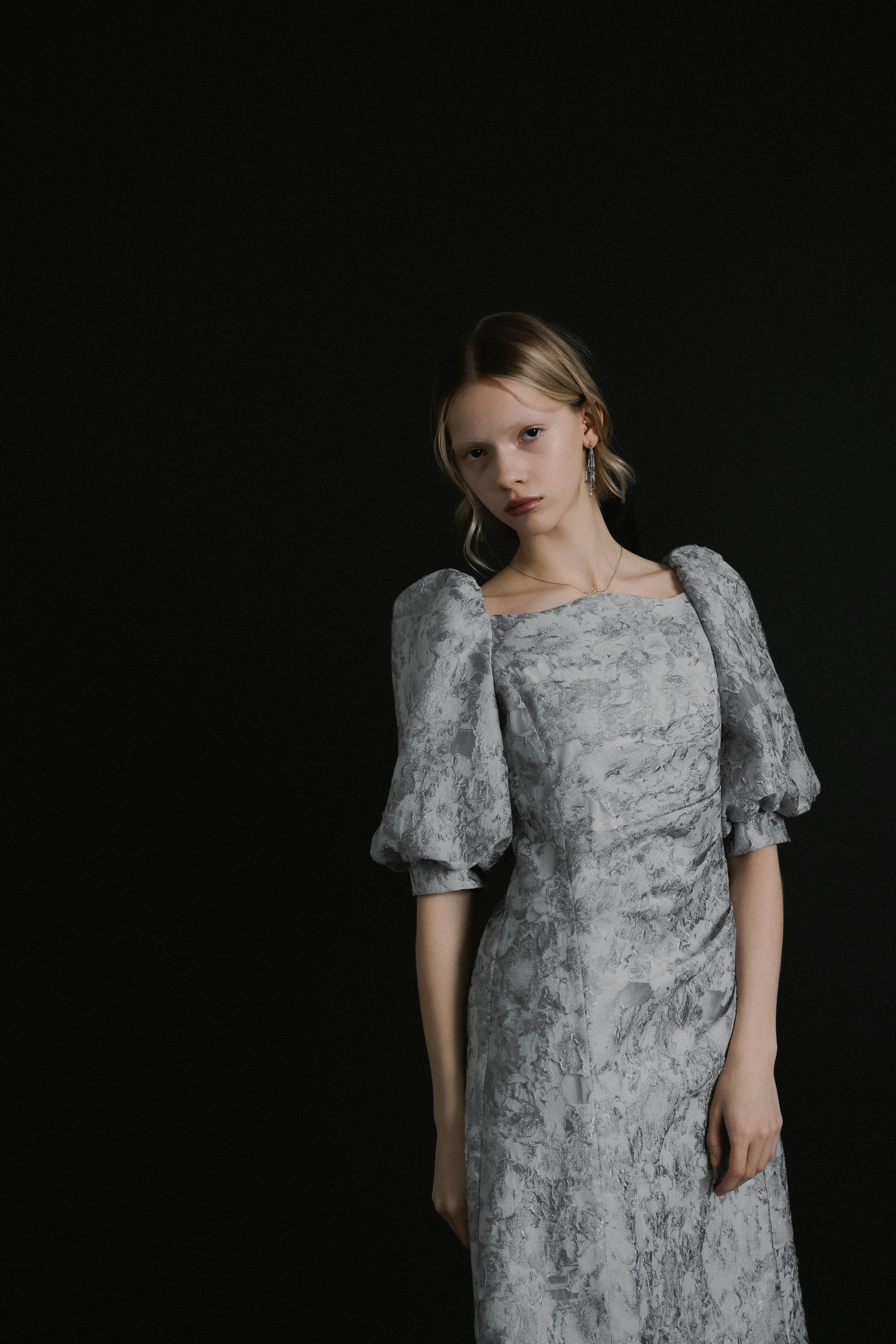 1071 Sheer Jacquard Organza Dress