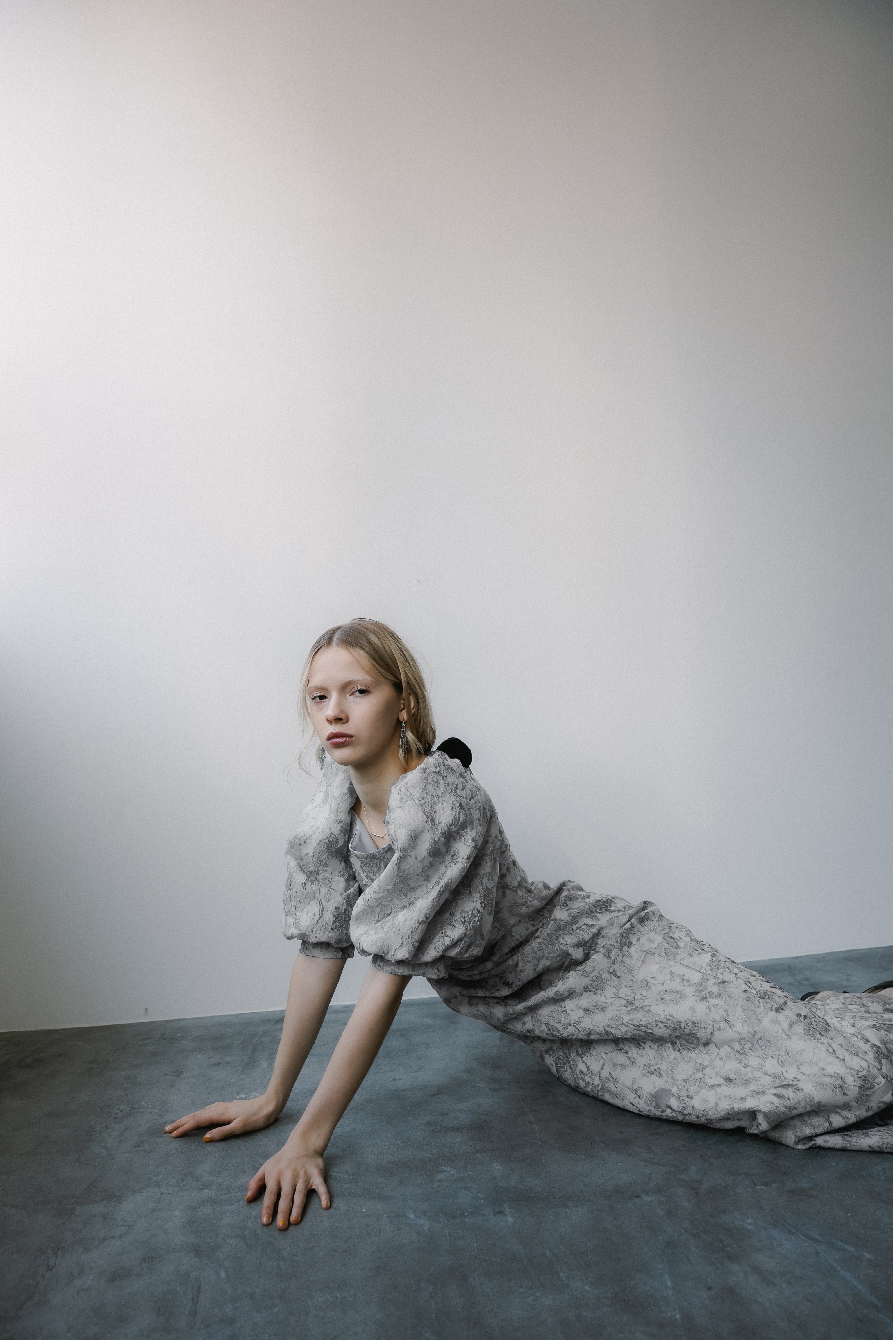 1071 Sheer Jacquard Organza Dress