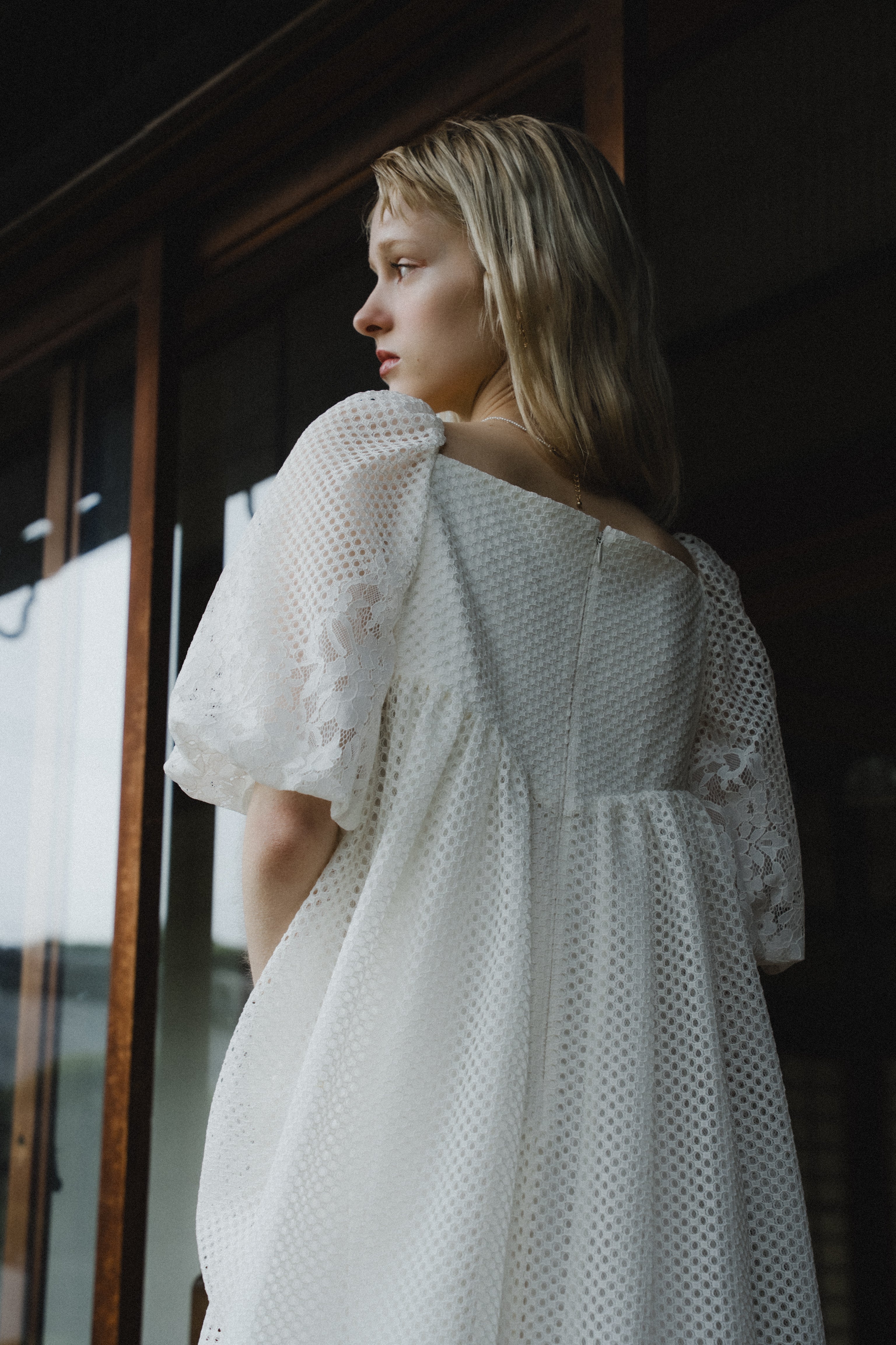 1114 Sheer Gingham Lace Dress