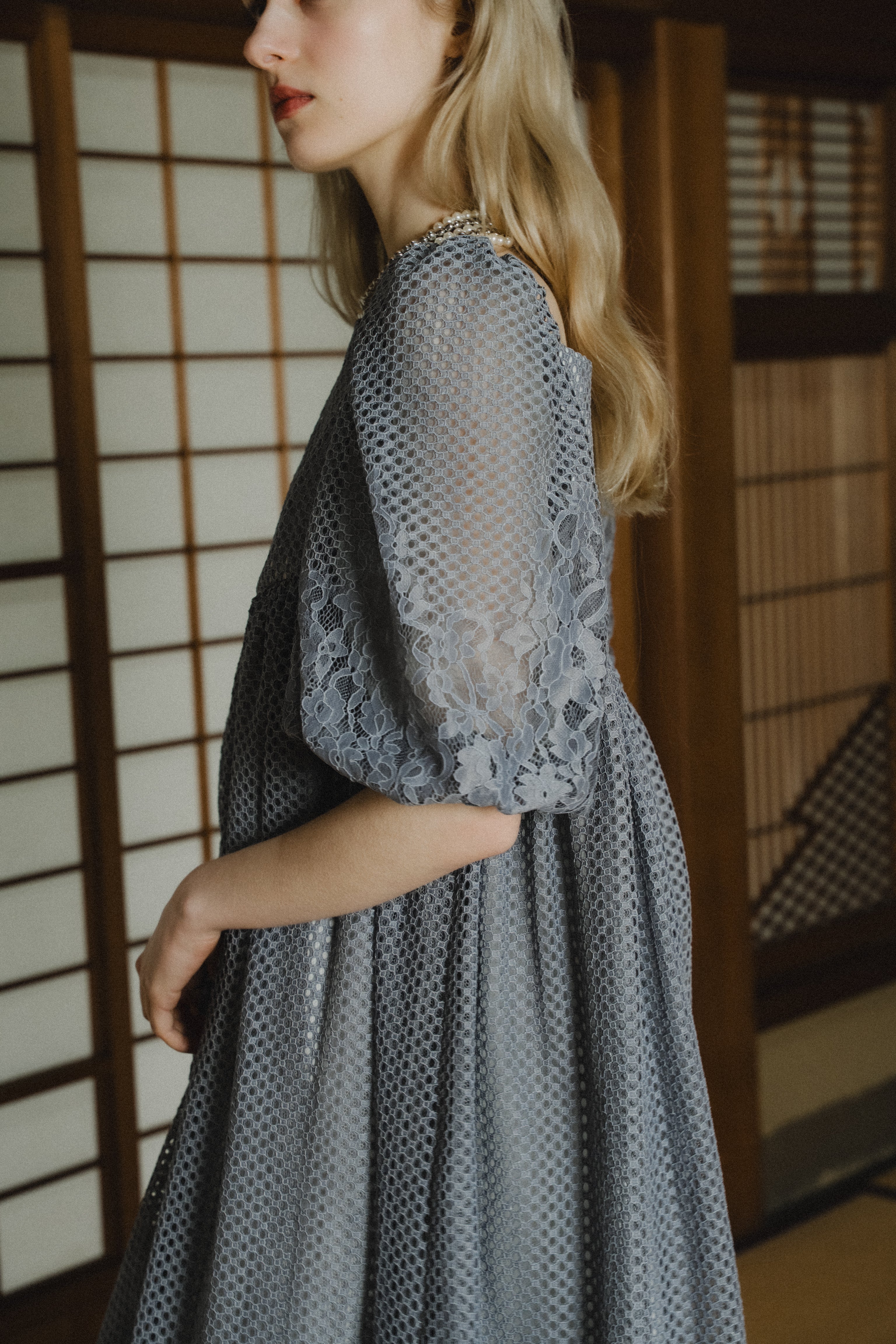 1114 Sheer Gingham Lace Dress