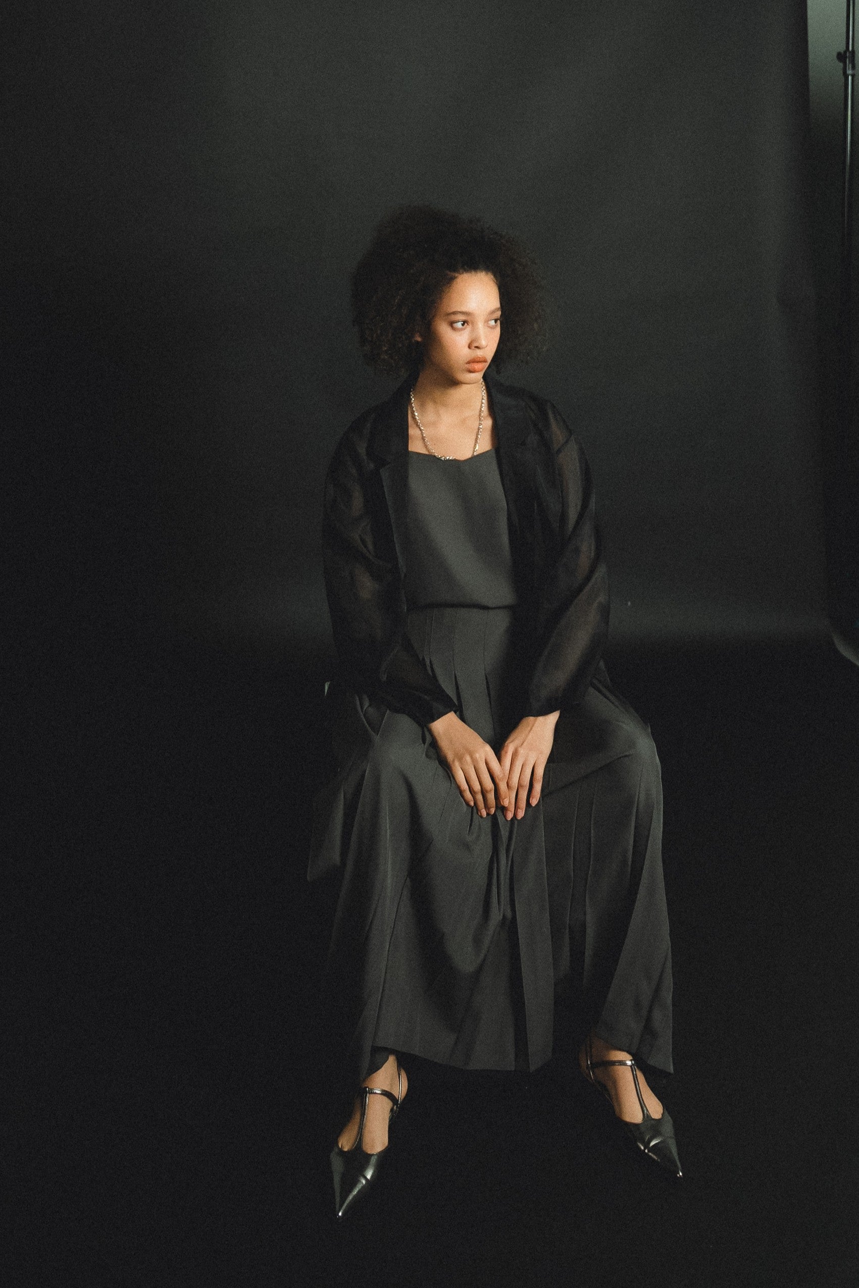 989 Pleats skirt sheer jk set up